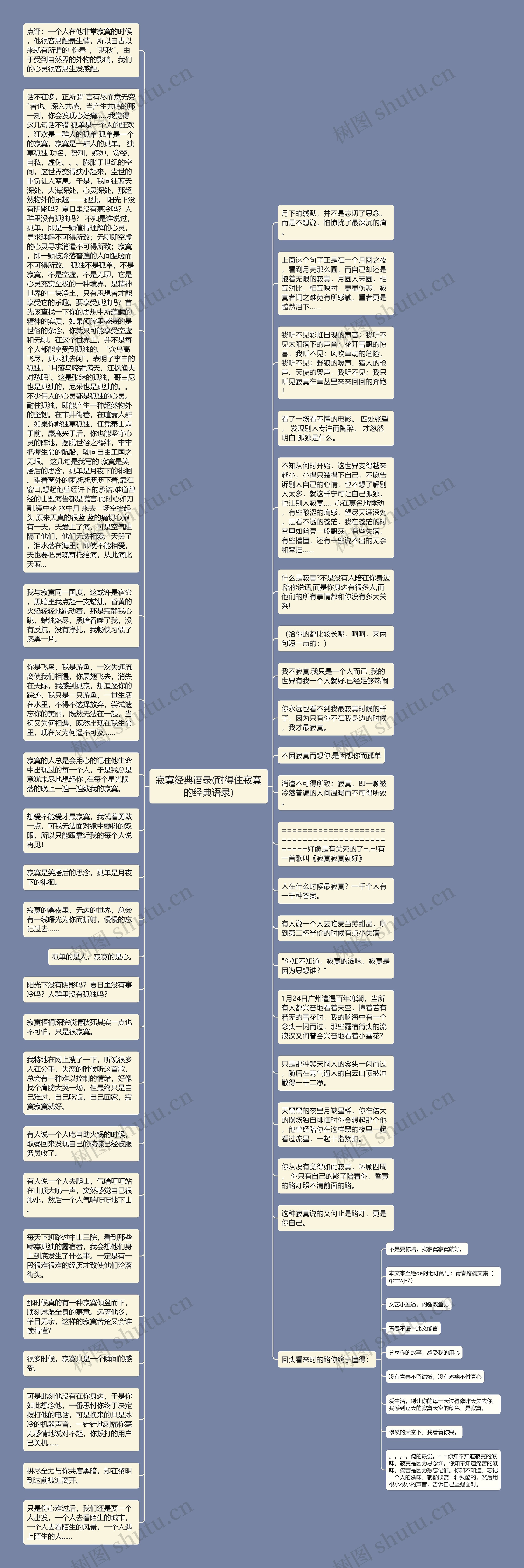 寂寞经典语录(耐得住寂寞的经典语录)