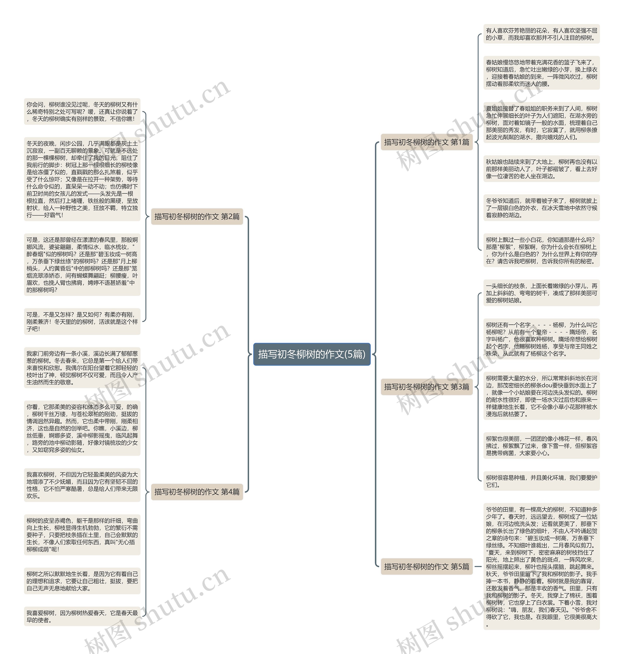 描写初冬柳树的作文(5篇)思维导图
