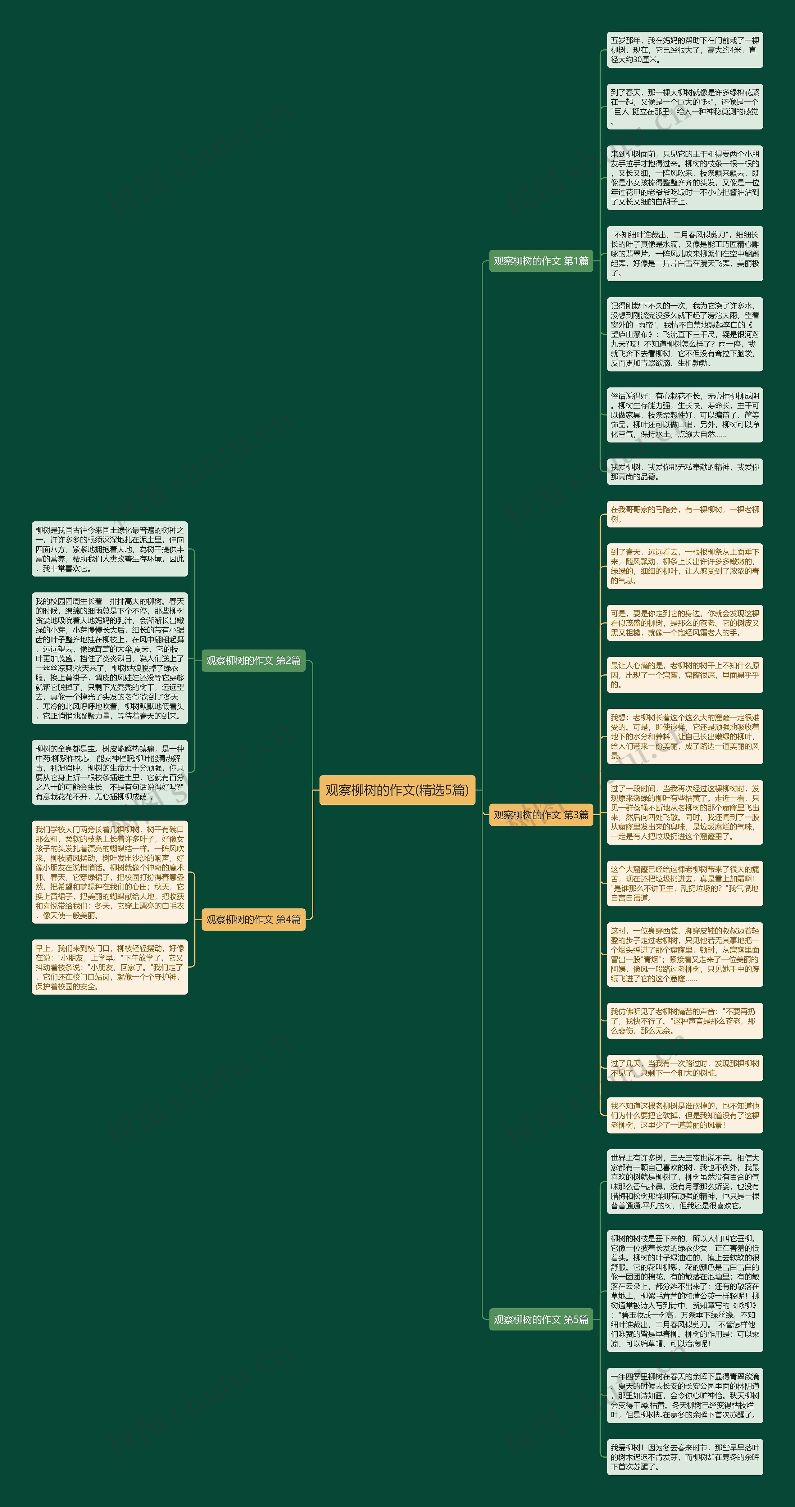 观察柳树的作文(精选5篇)思维导图