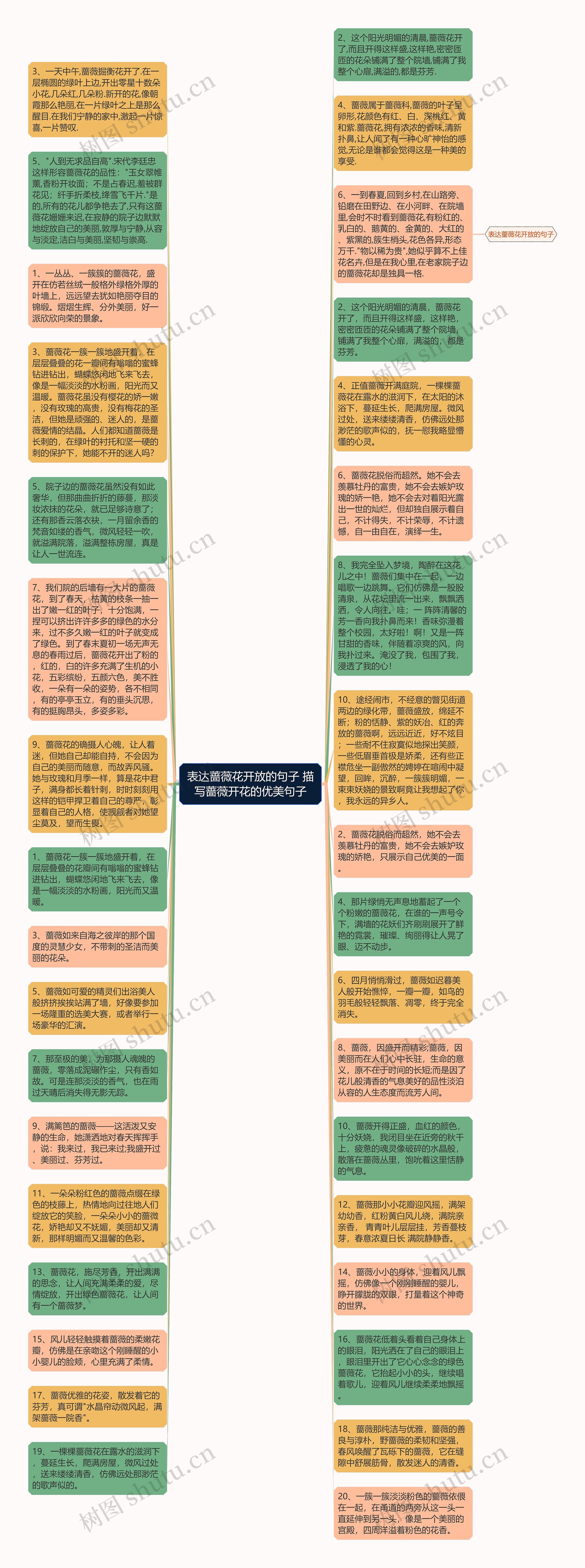 表达蔷薇花开放的句子 描写蔷薇开花的优美句子