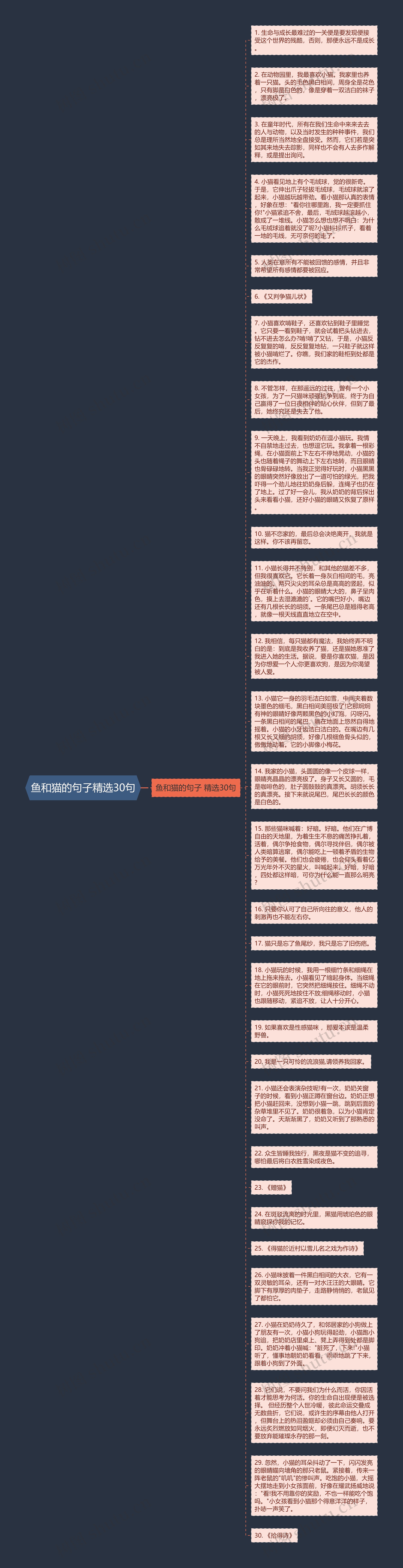 鱼和猫的句子精选30句思维导图