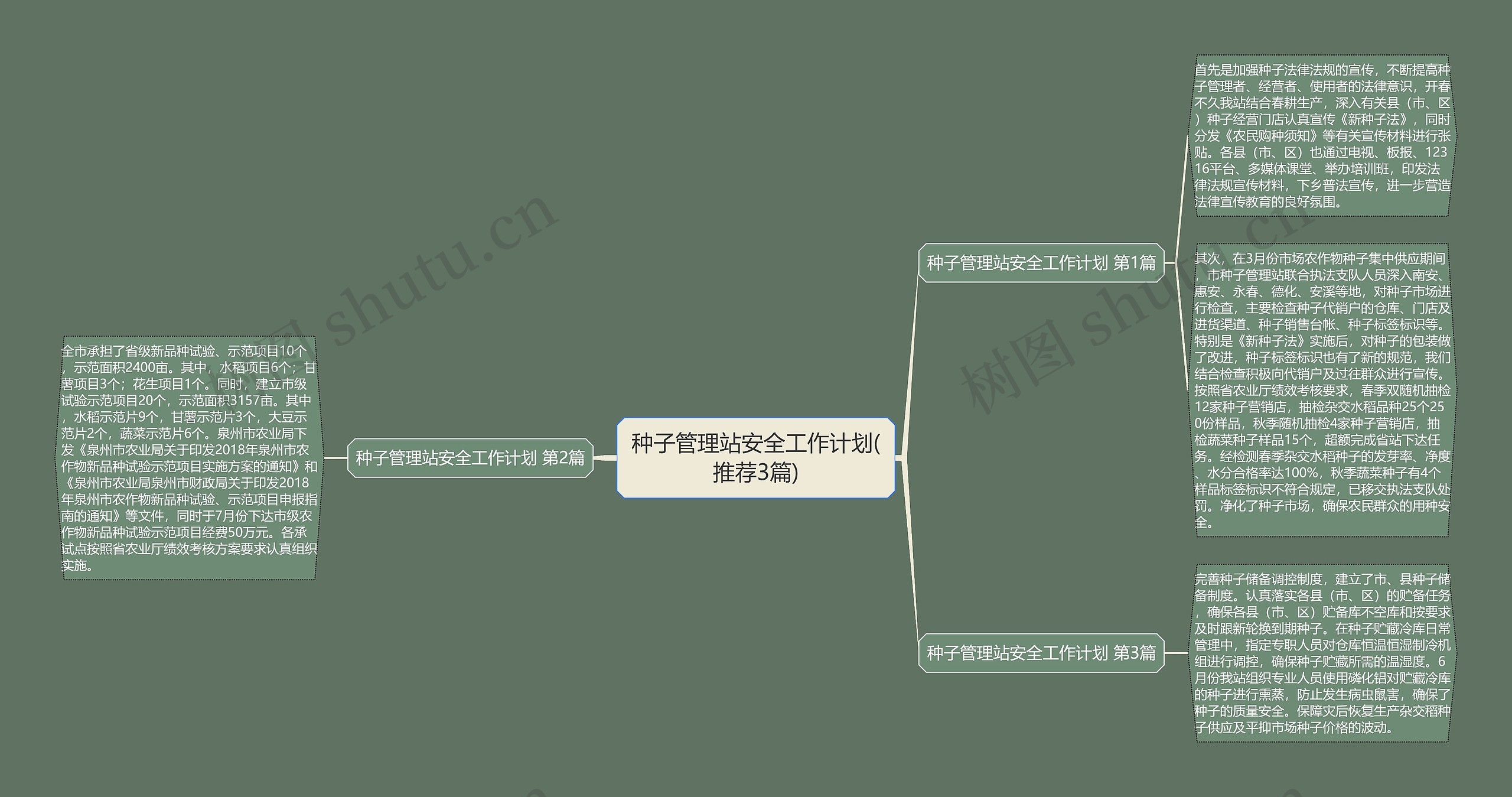 种子管理站安全工作计划(推荐3篇)