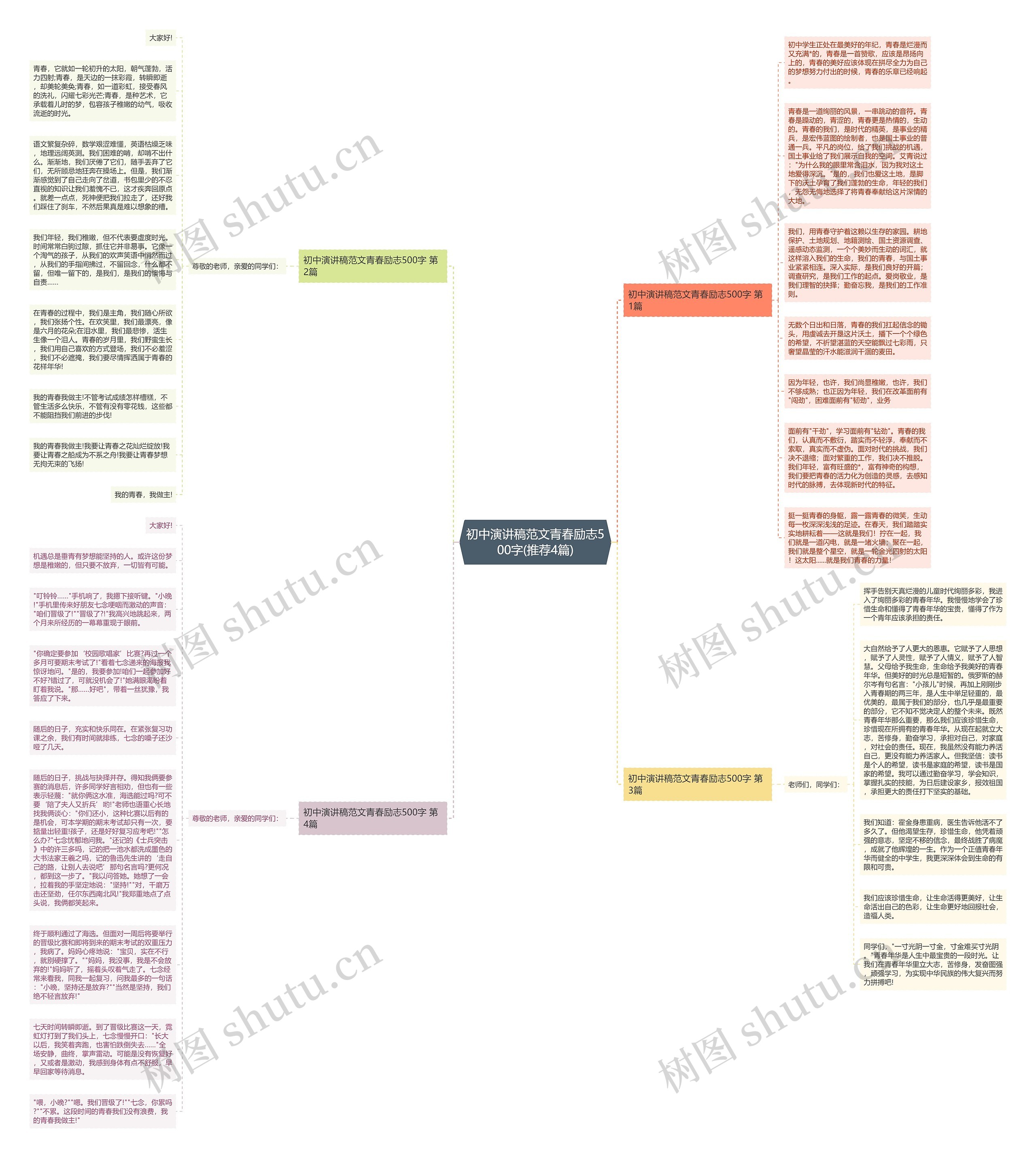 初中演讲稿范文青春励志500字(推荐4篇)思维导图