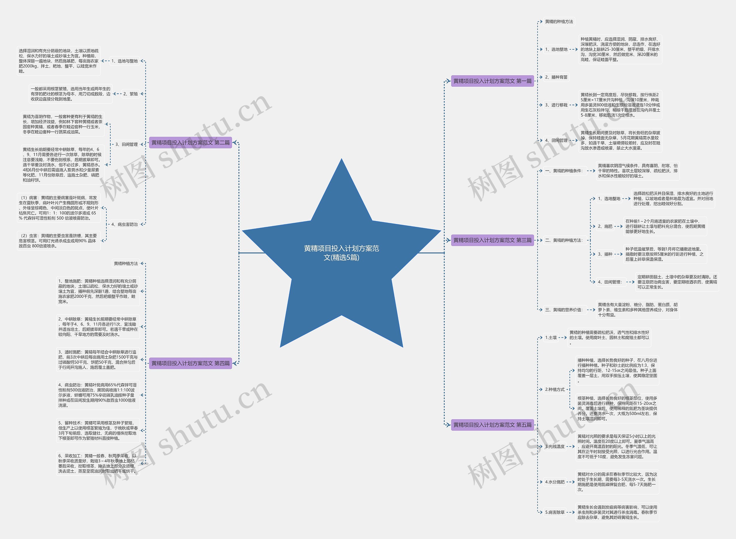 黄精项目投入计划方案范文(精选5篇)思维导图