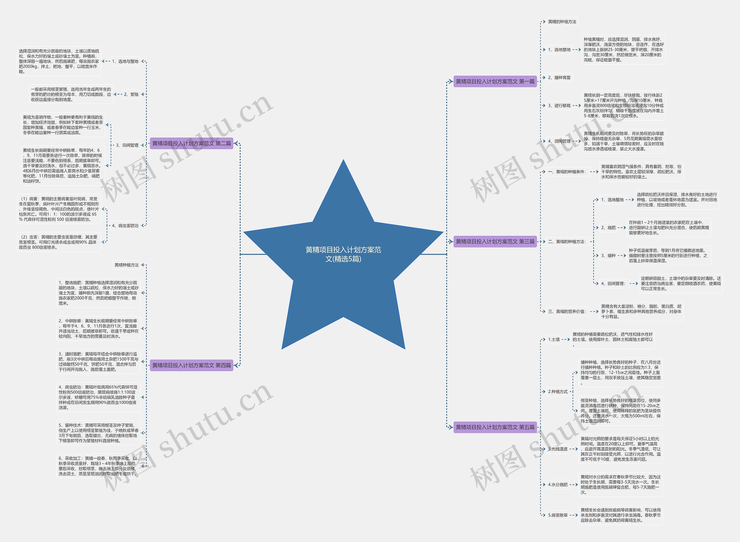 黄精项目投入计划方案范文(精选5篇) 黄精项目投入计划方案范文(精选5篇)