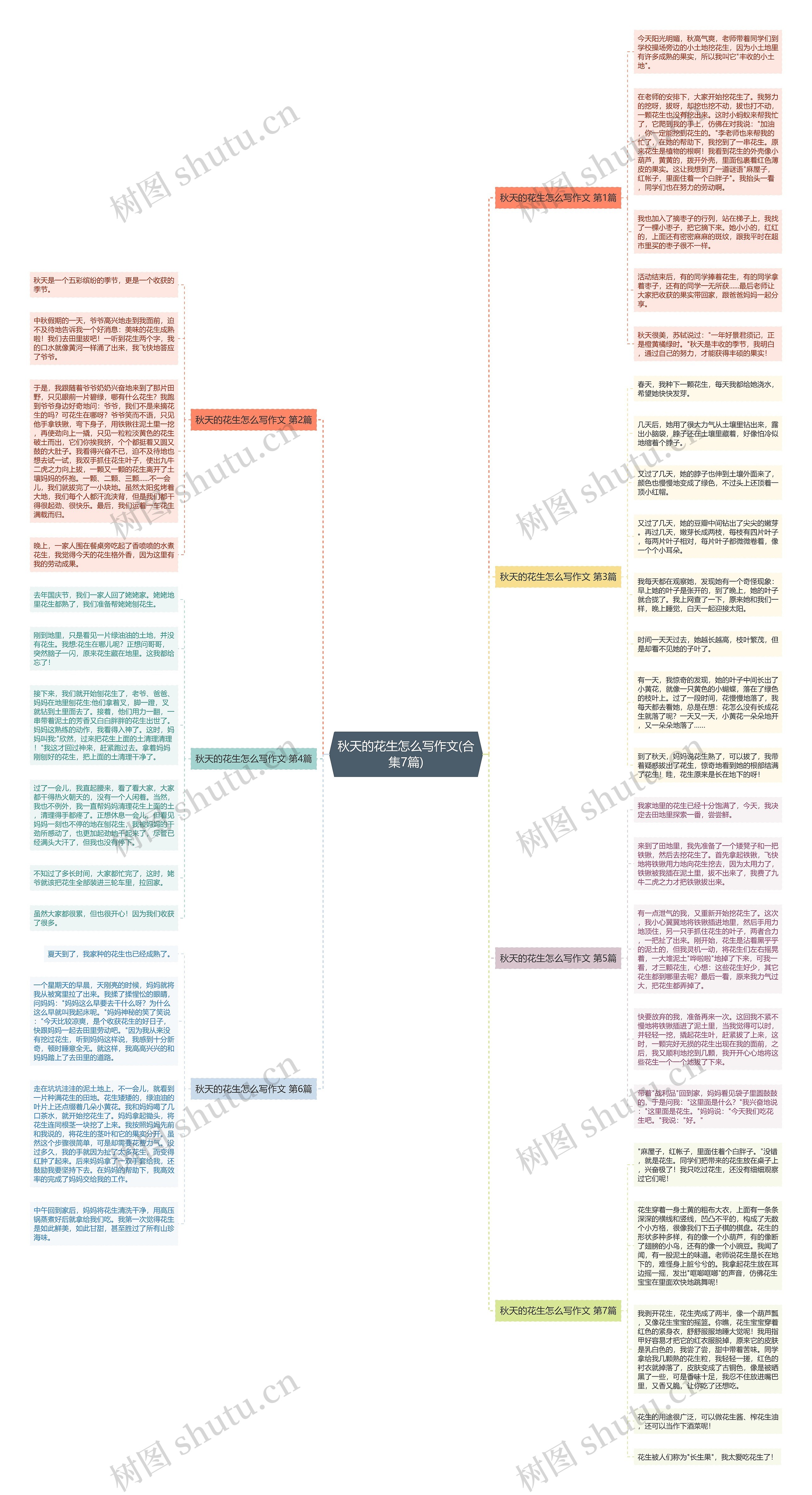 秋天的花生怎么写作文(合集7篇)思维导图