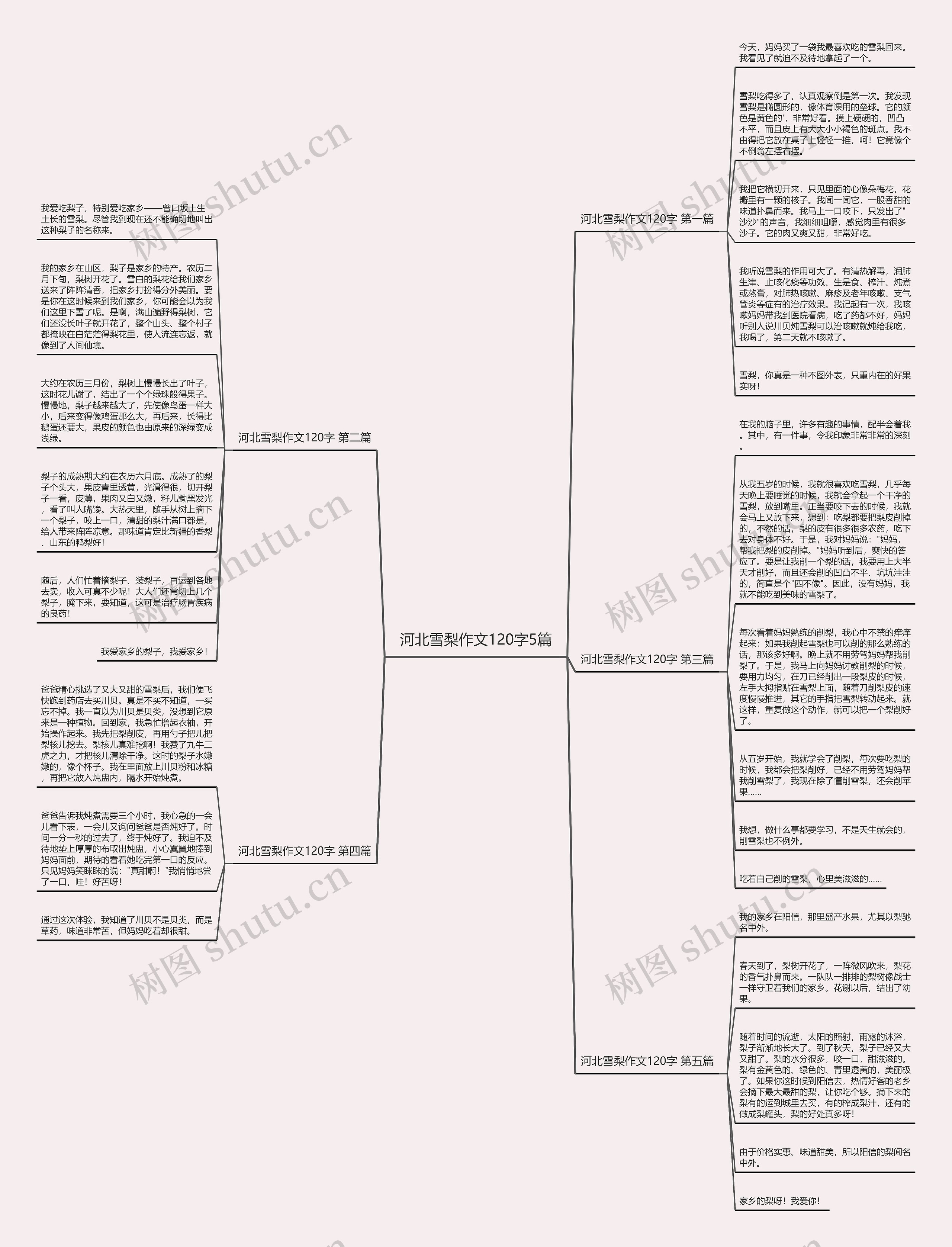 河北雪梨作文120字5篇思维导图