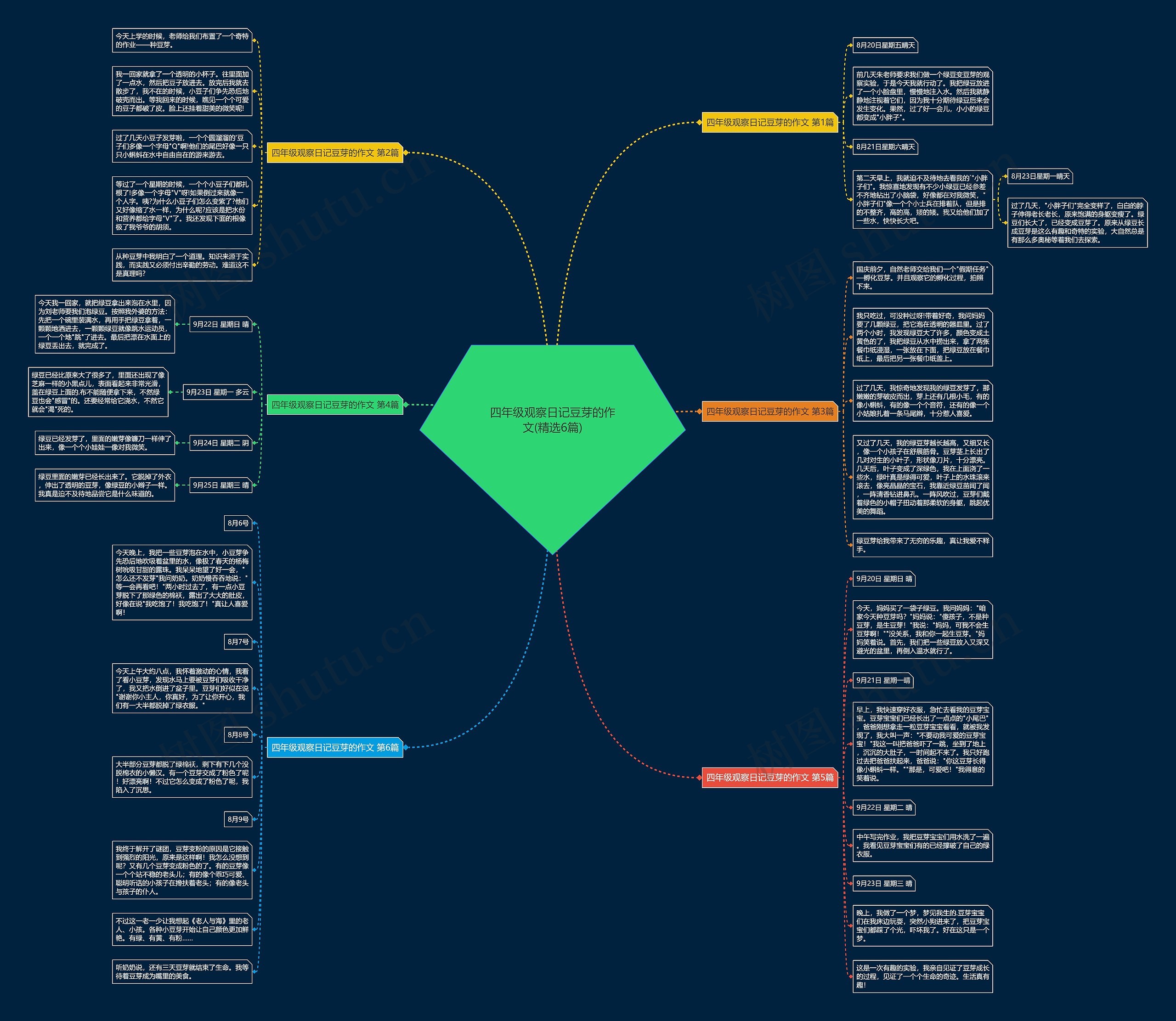 四年级观察日记豆芽的作文(精选6篇)思维导图