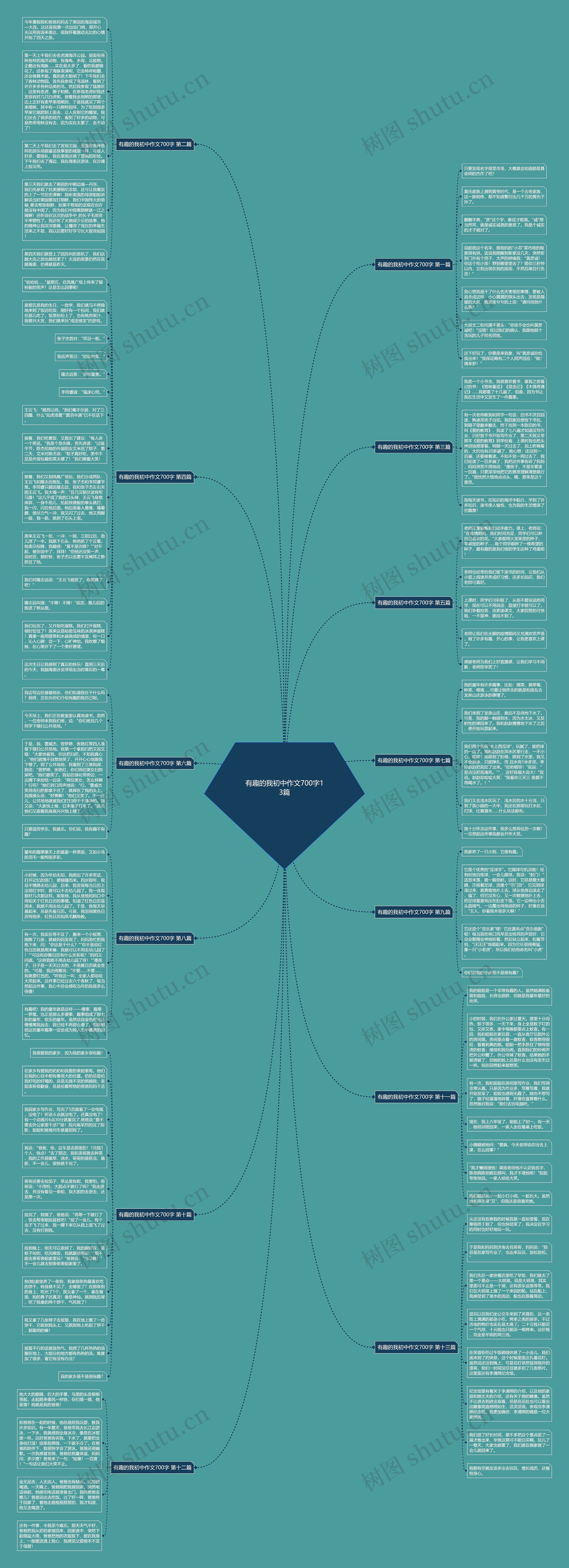 有趣的我初中作文700字13篇思维导图