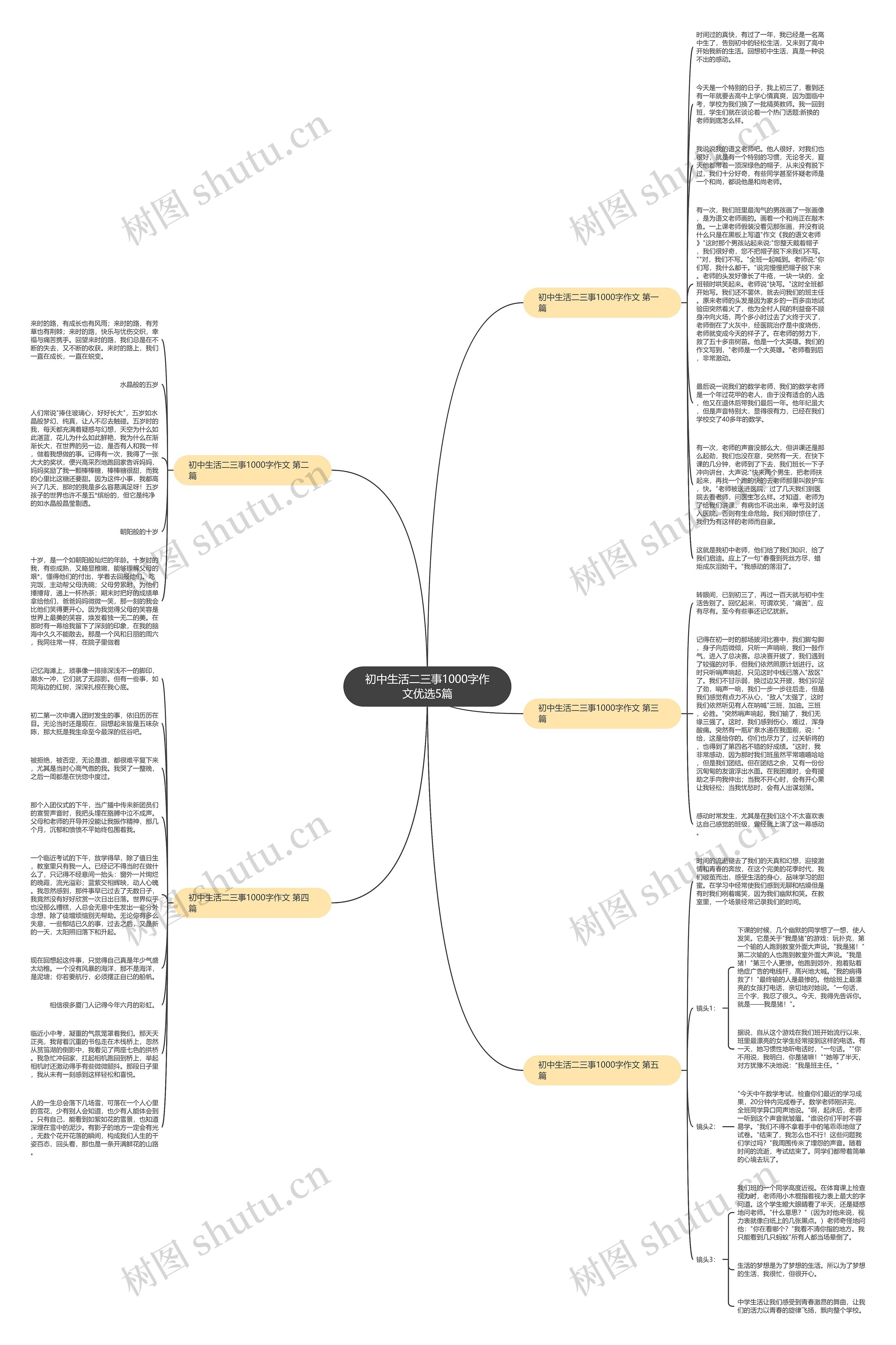 初中生活二三事1000字作文优选5篇思维导图