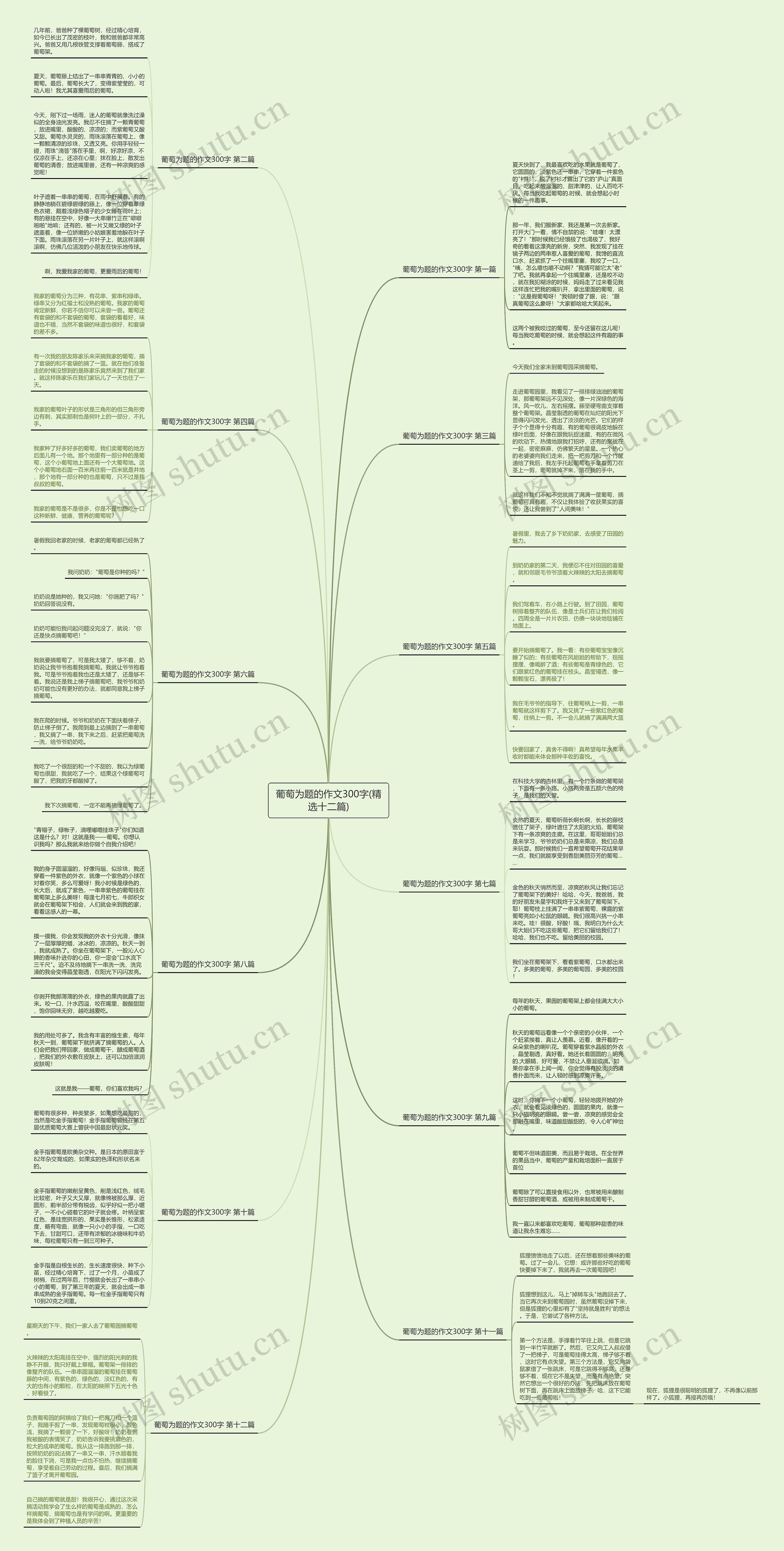 葡萄为题的作文300字(精选十二篇) 葡萄为题的作文300字(精选十二篇)