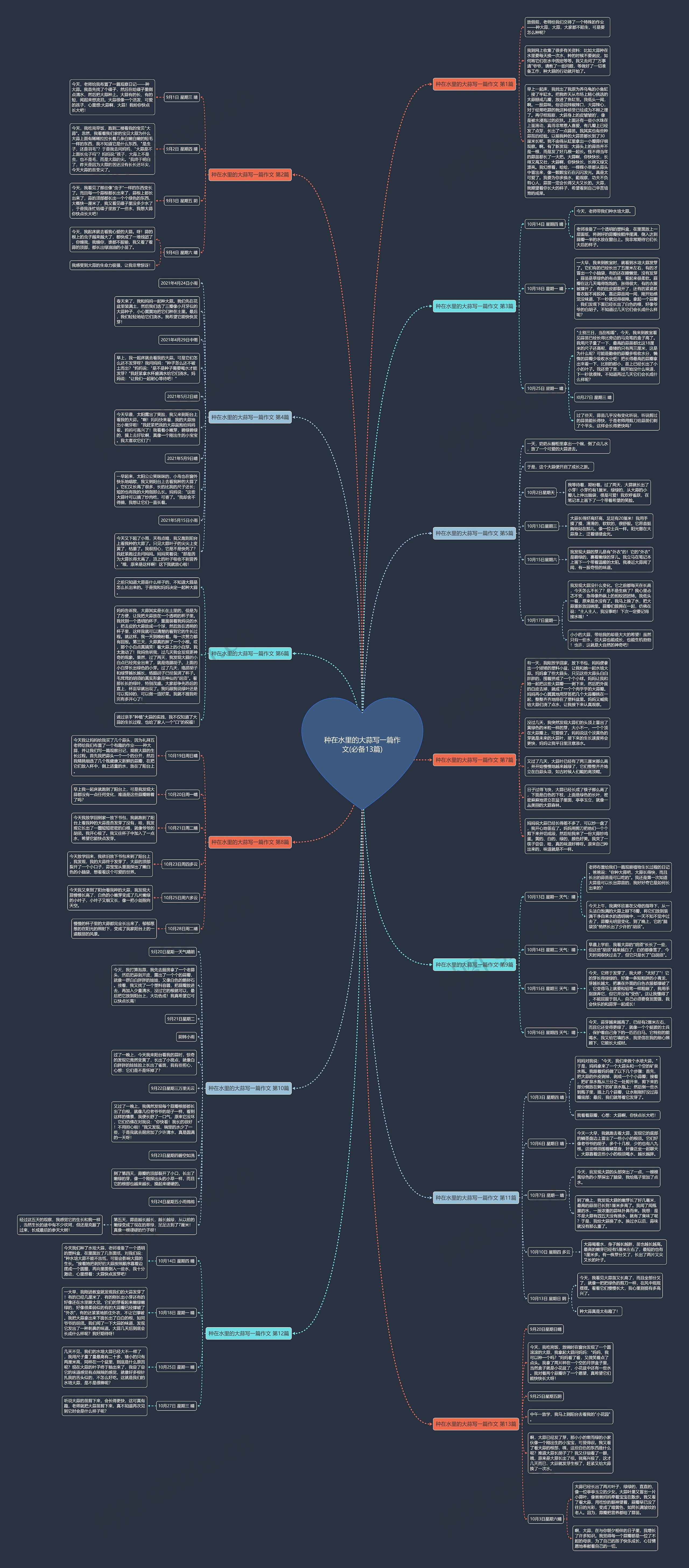 种在水里的大蒜写一篇作文(必备13篇)思维导图