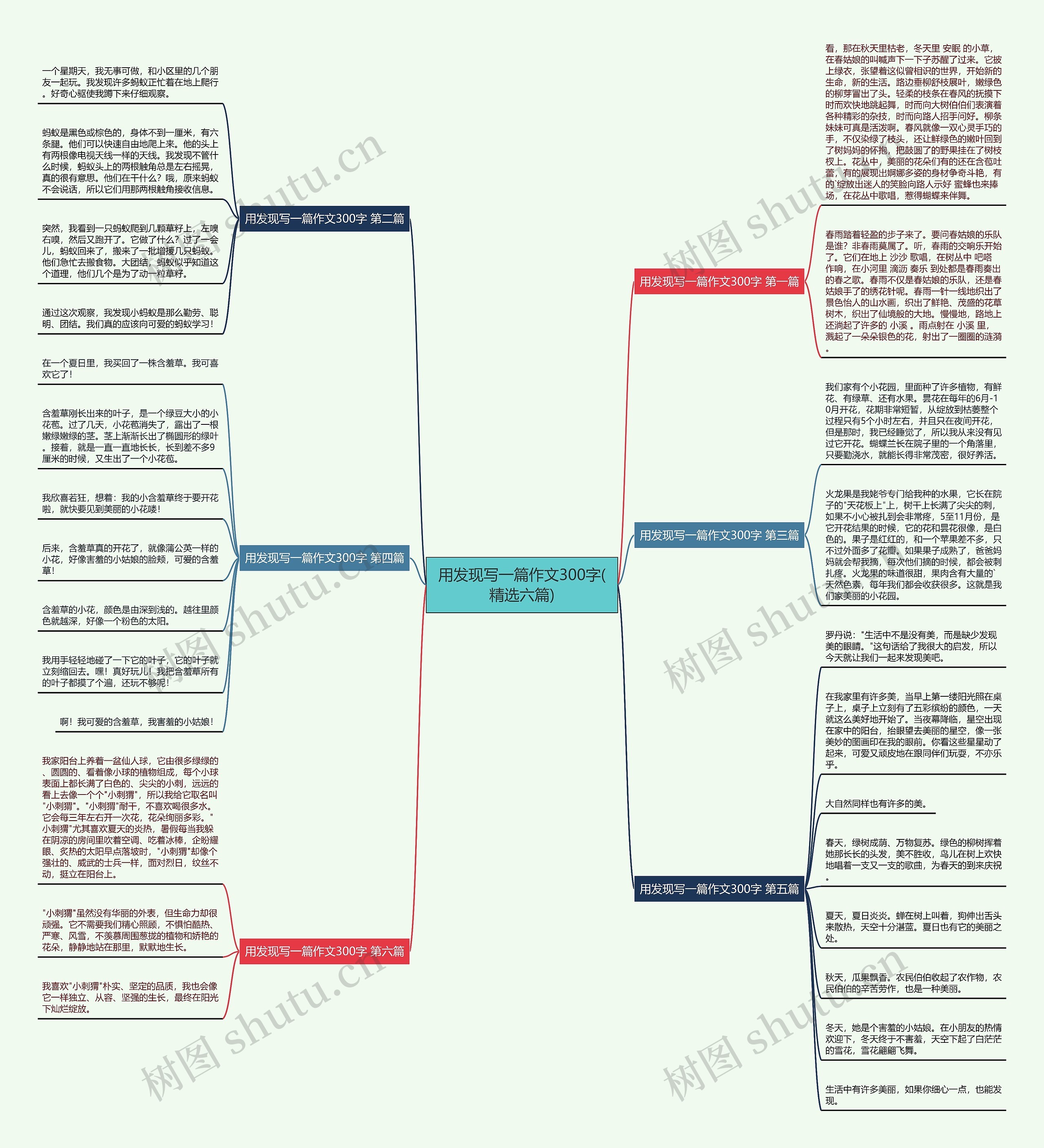 用发现写一篇作文300字(精选六篇)思维导图