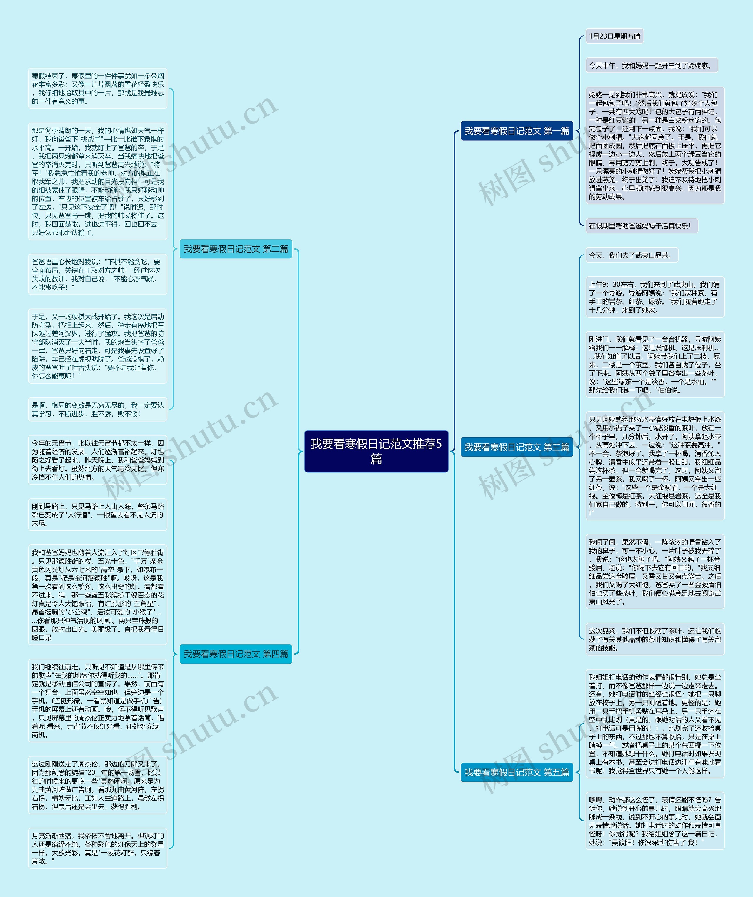 我要看寒假日记范文推荐5篇思维导图