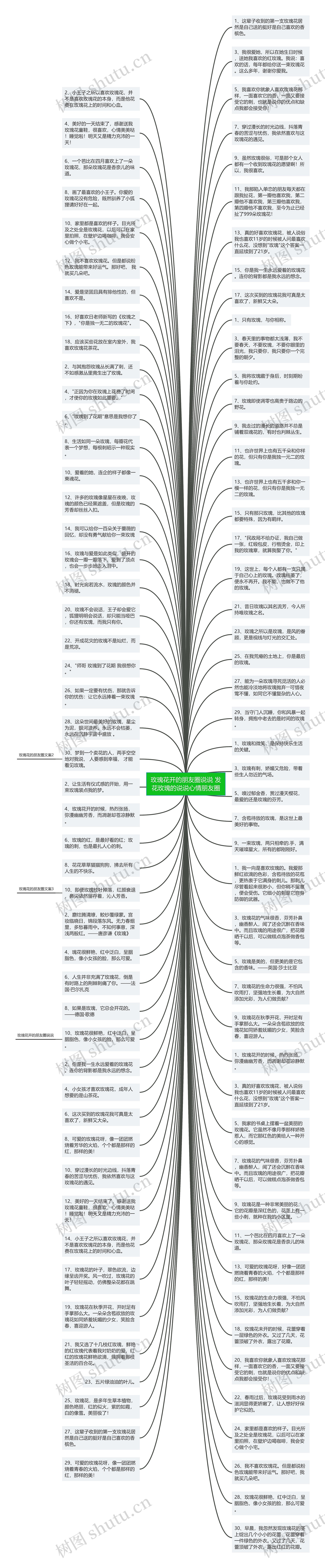 玫瑰花开的朋友圈说说 发花玫瑰的说说心情朋友圈思维导图