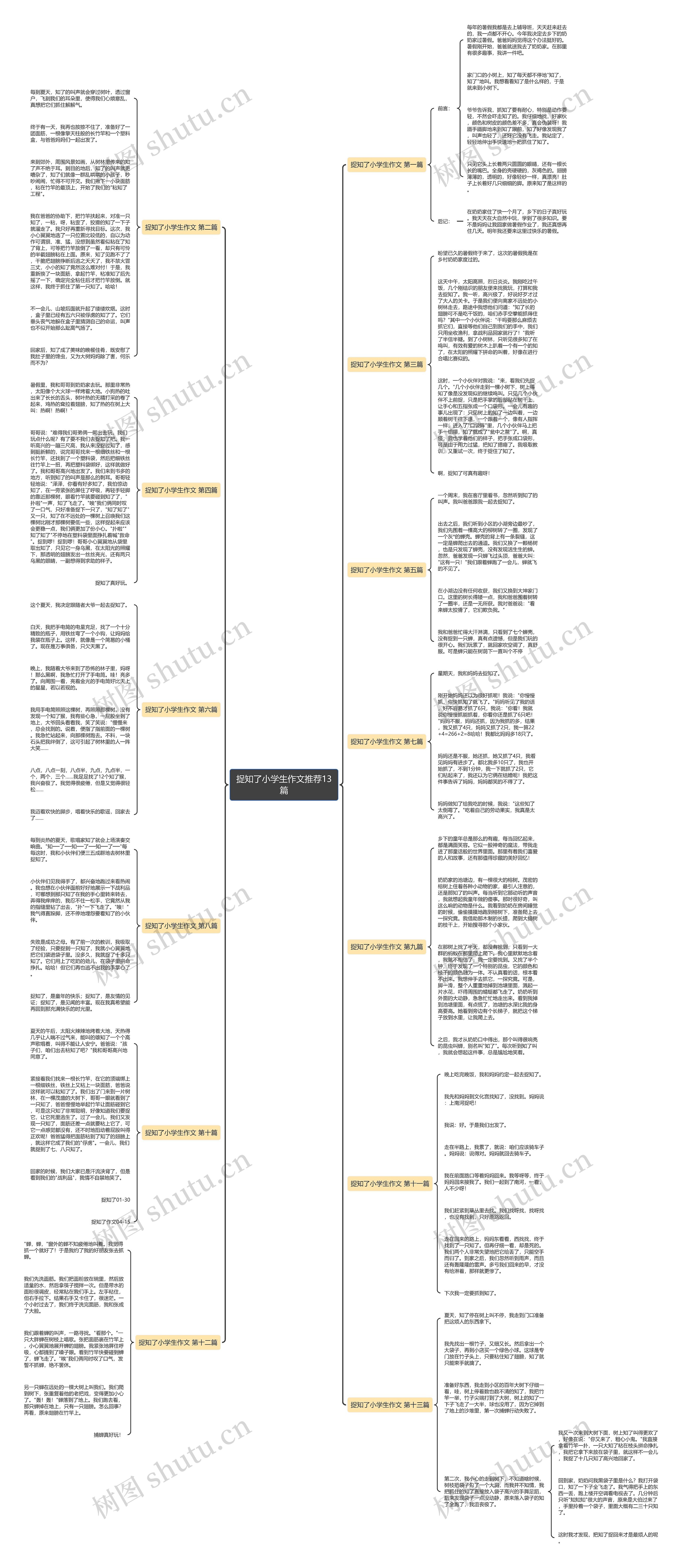 捉知了小学生作文推荐13篇思维导图