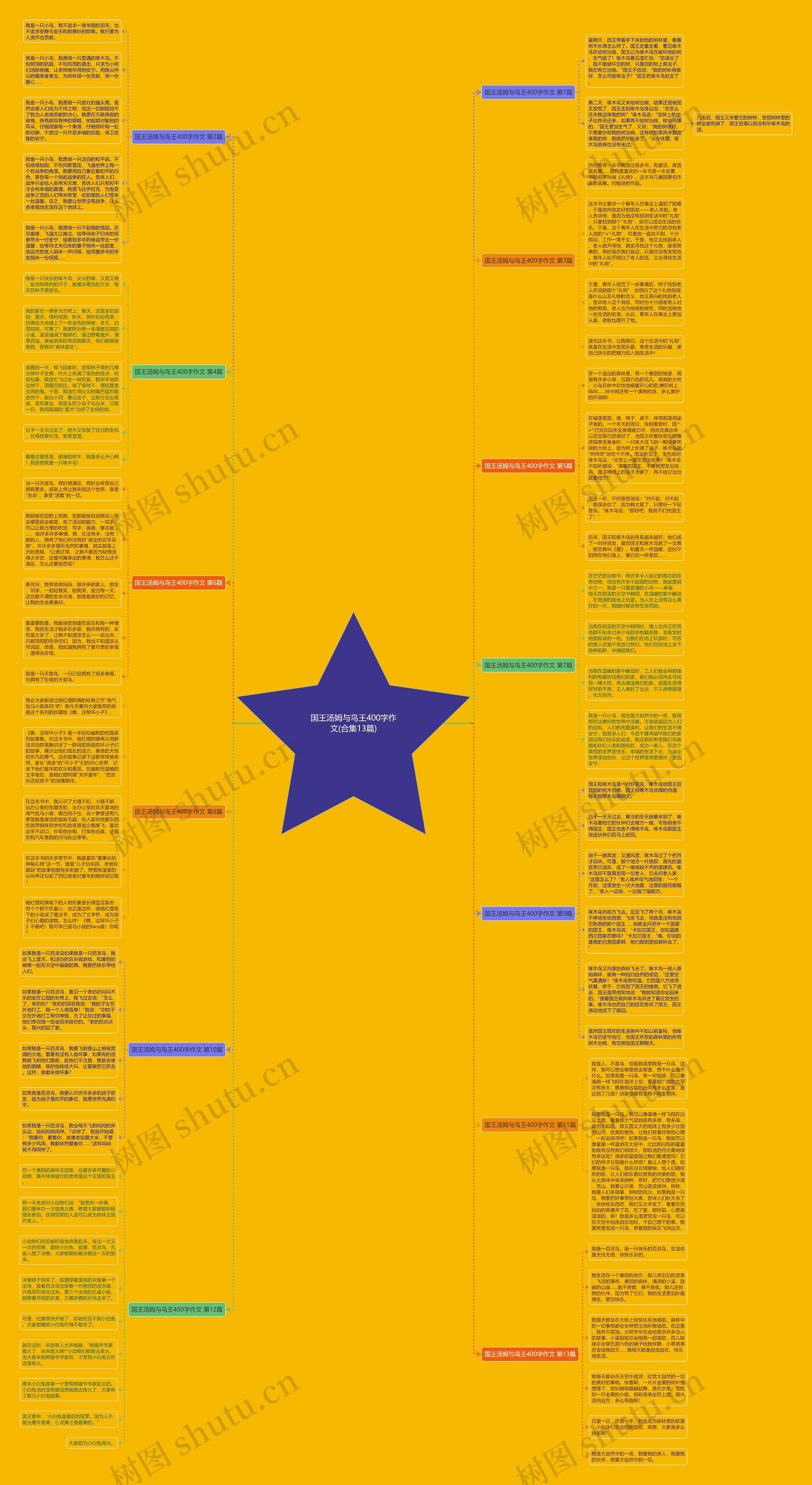 国王汤姆与鸟王400字作文(合集13篇)思维导图