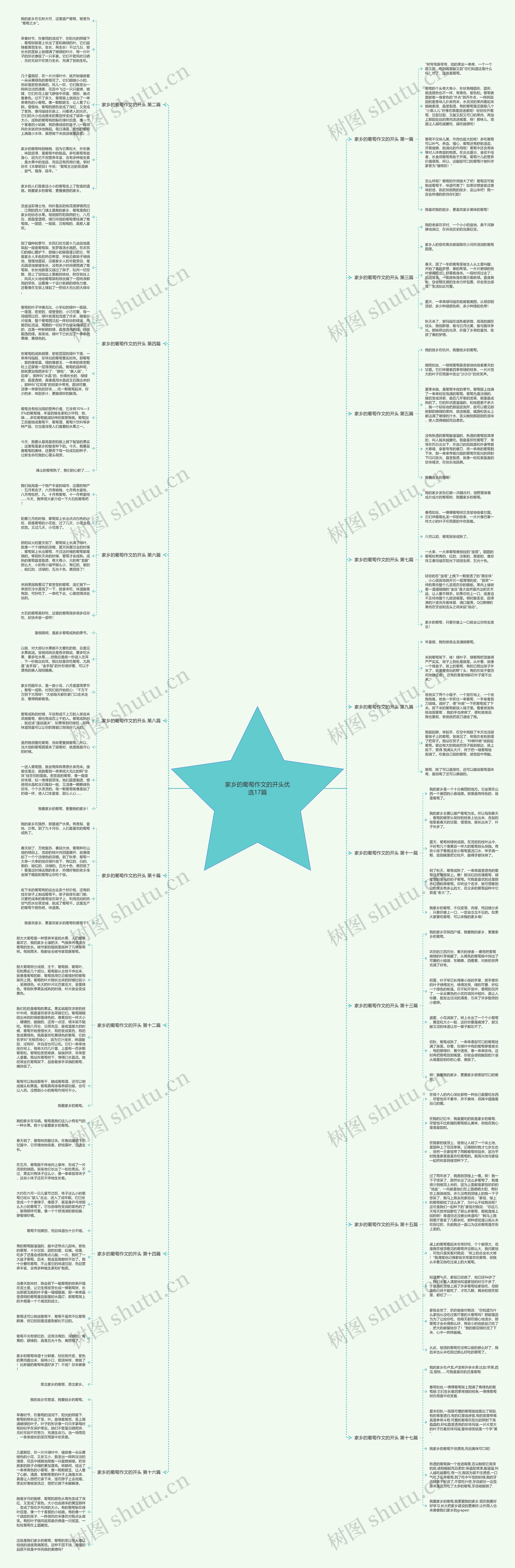 家乡的葡萄作文的开头优选17篇 家乡的葡萄作文的开头优选17篇