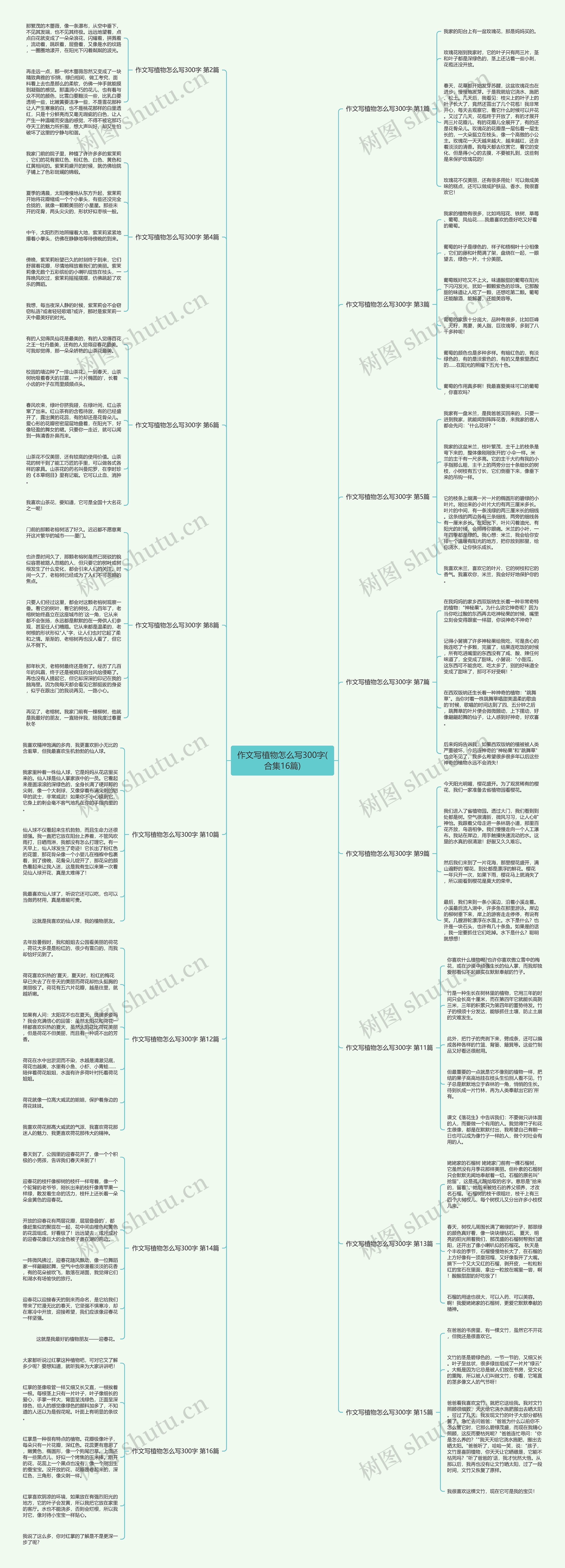 作文写植物怎么写300字(合集16篇)思维导图