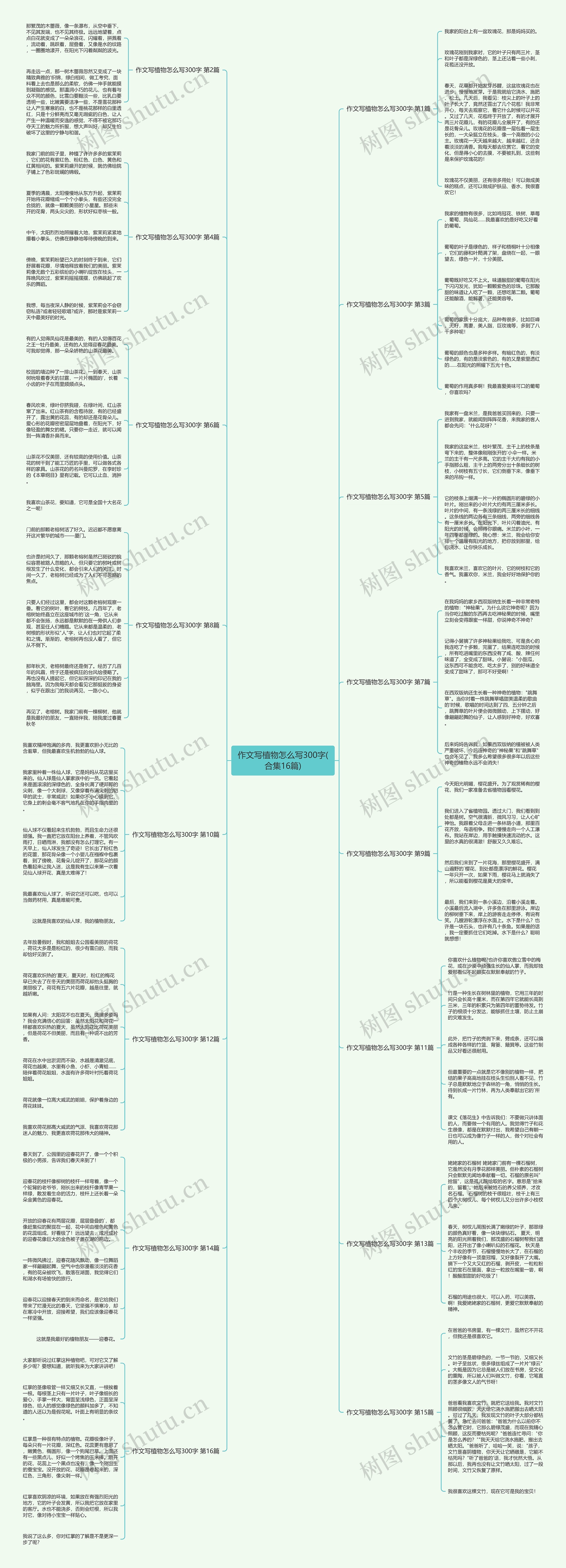 作文写植物怎么写300字(合集16篇) 作文写植物怎么写300字(合集16篇)