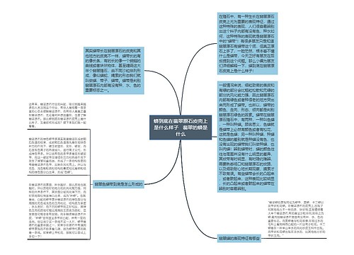 蟒到底在翡翠原石皮壳上是什么样子   翡翠的蟒是什么