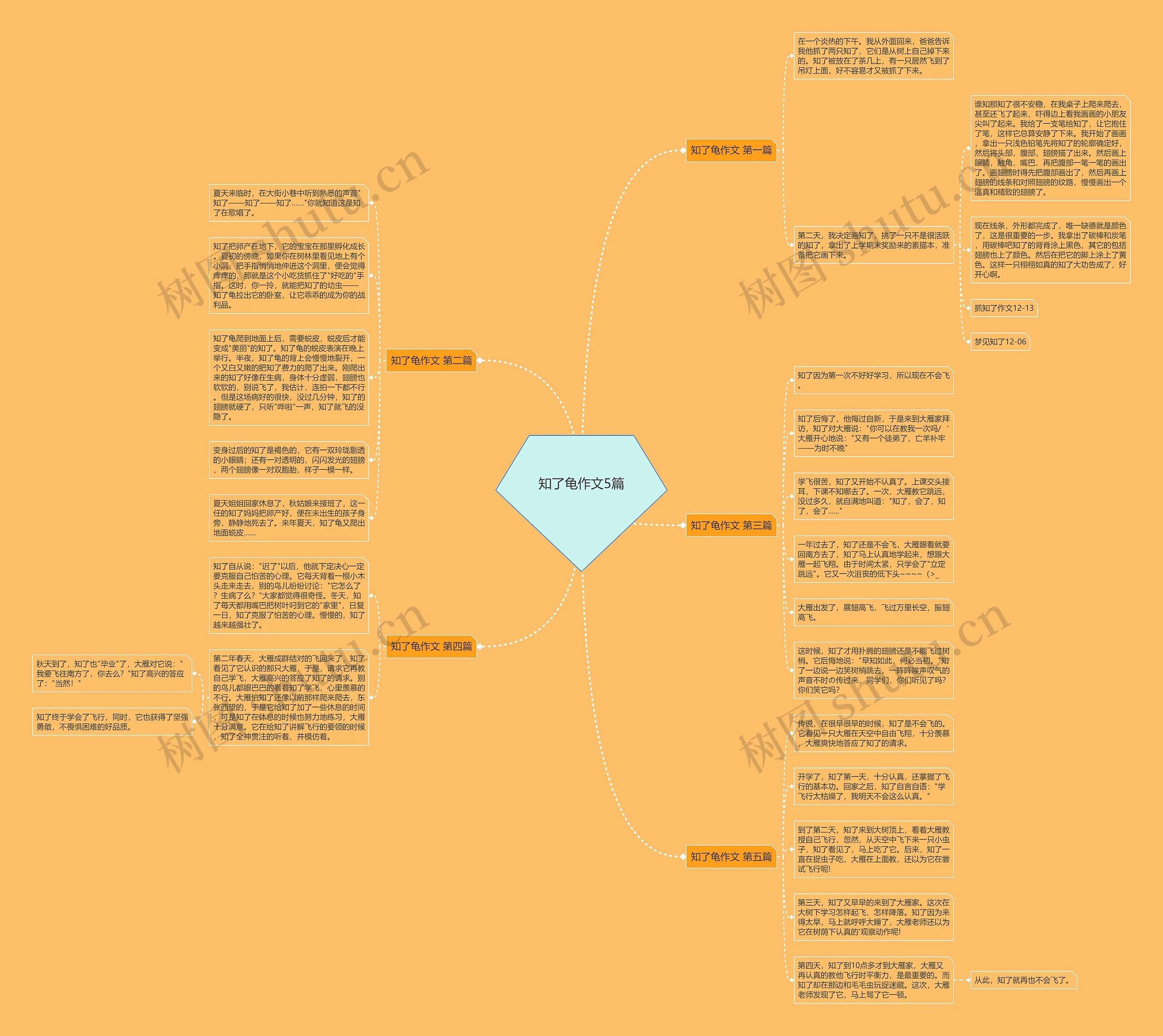 知了龟作文5篇思维导图