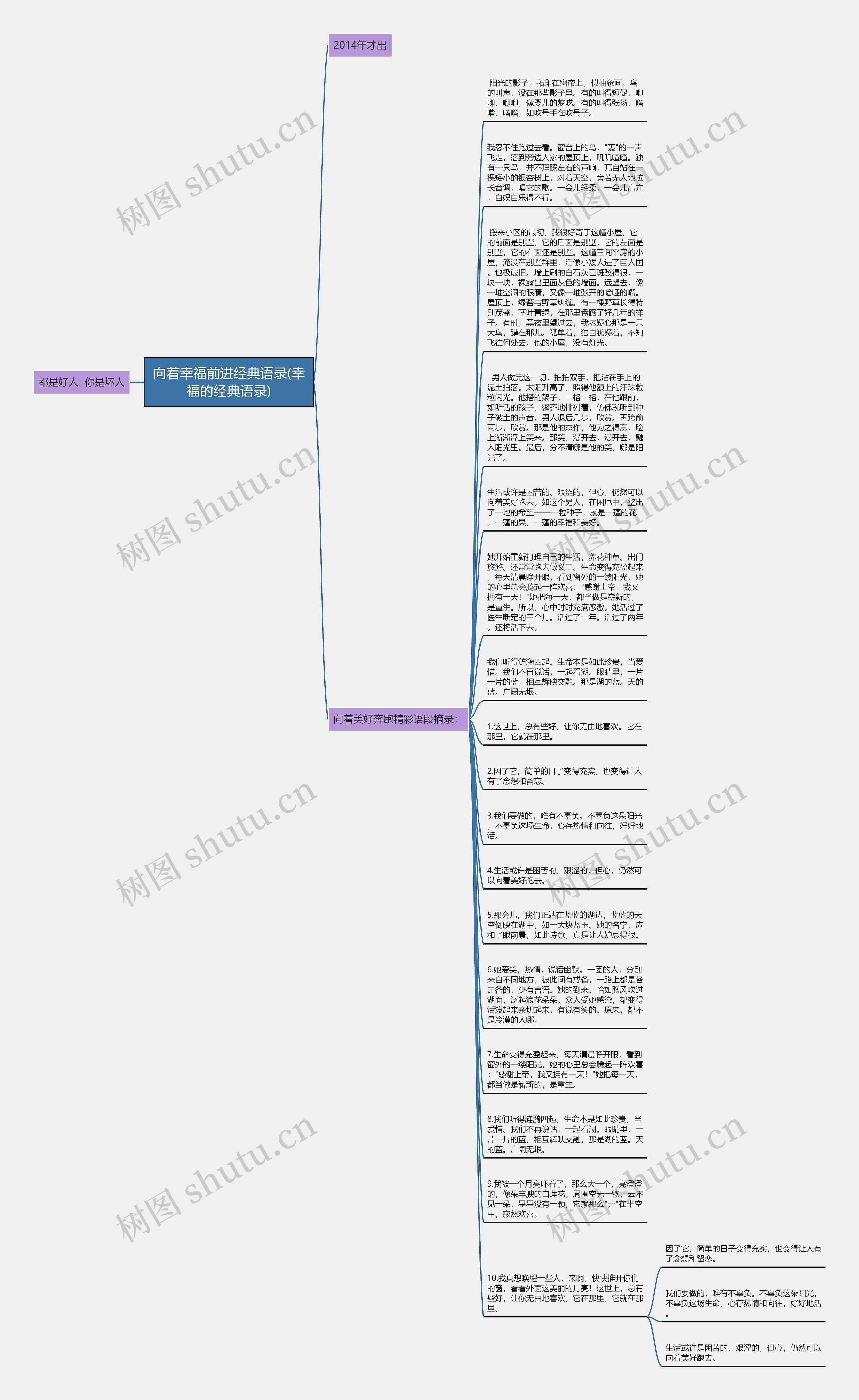 向着幸福前进经典语录(幸福的经典语录)思维导图
