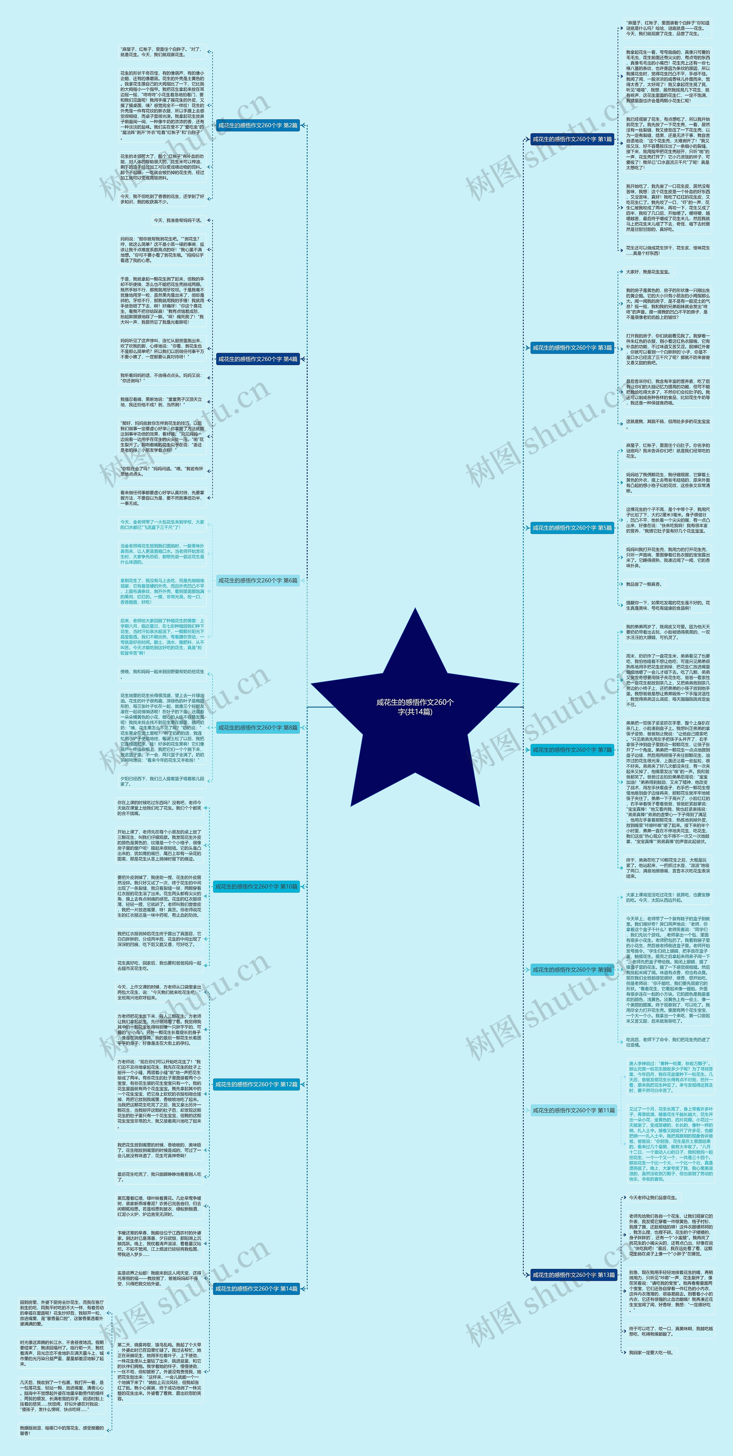 咸花生的感悟作文260个字(共14篇)思维导图