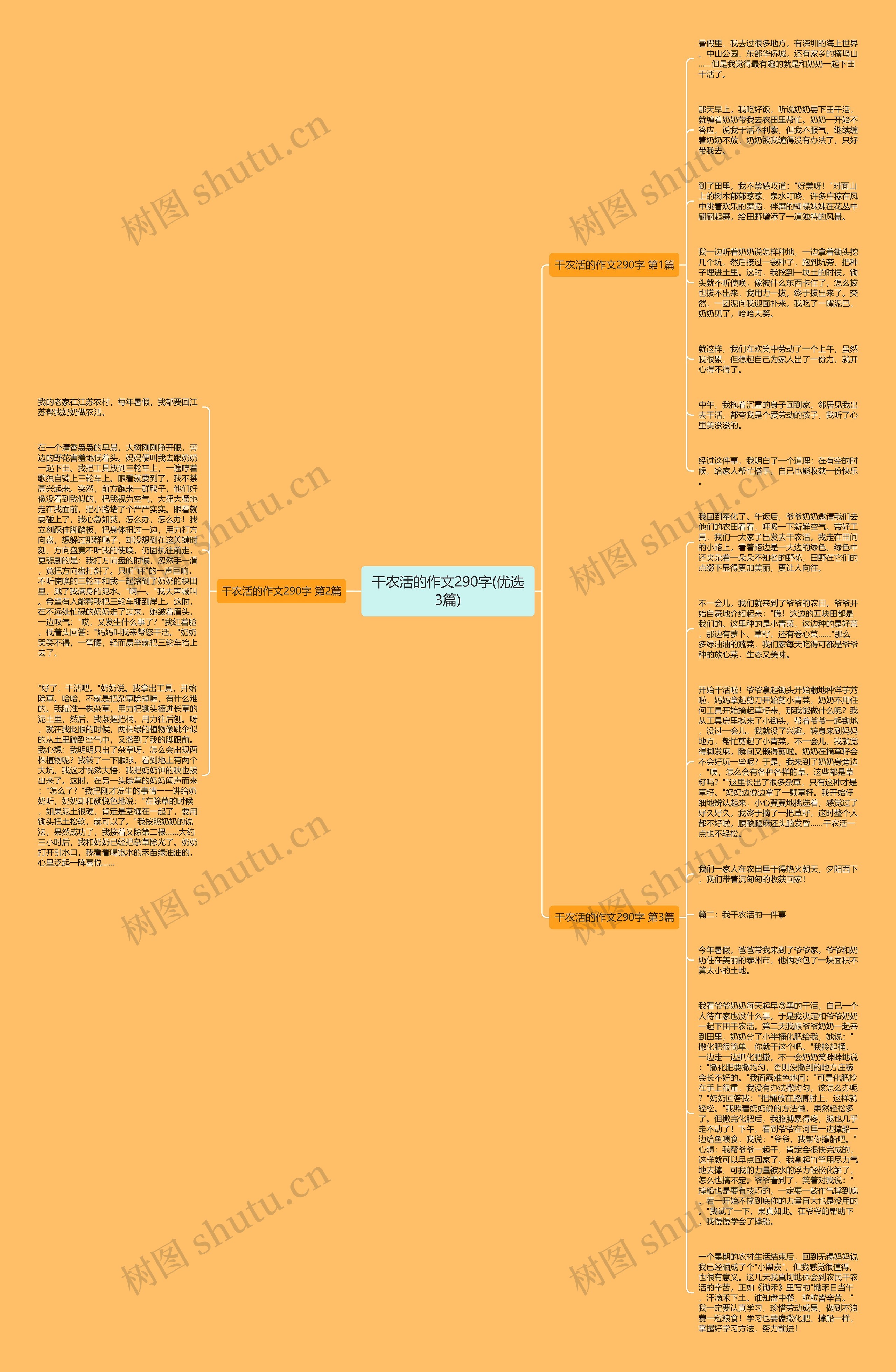 干农活的作文290字(优选3篇)思维导图