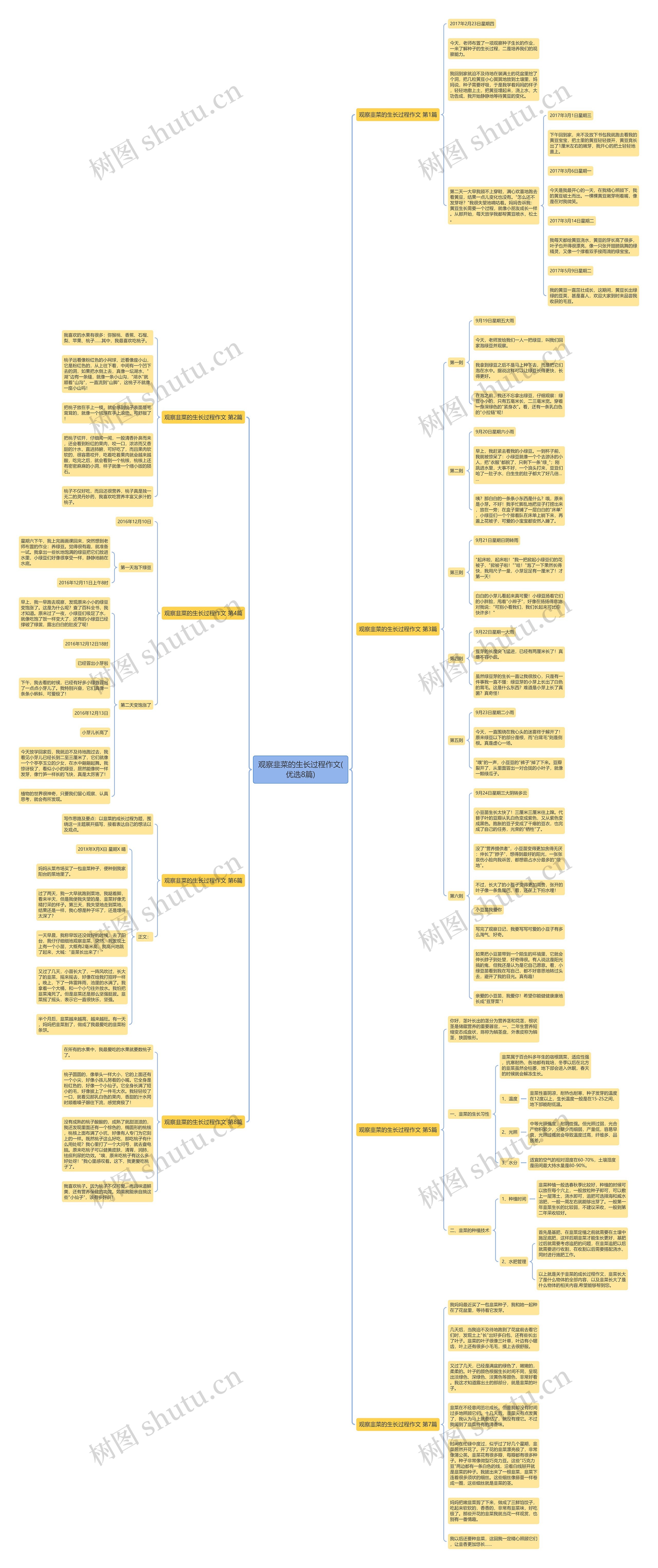 观察韭菜的生长过程作文(优选8篇)思维导图