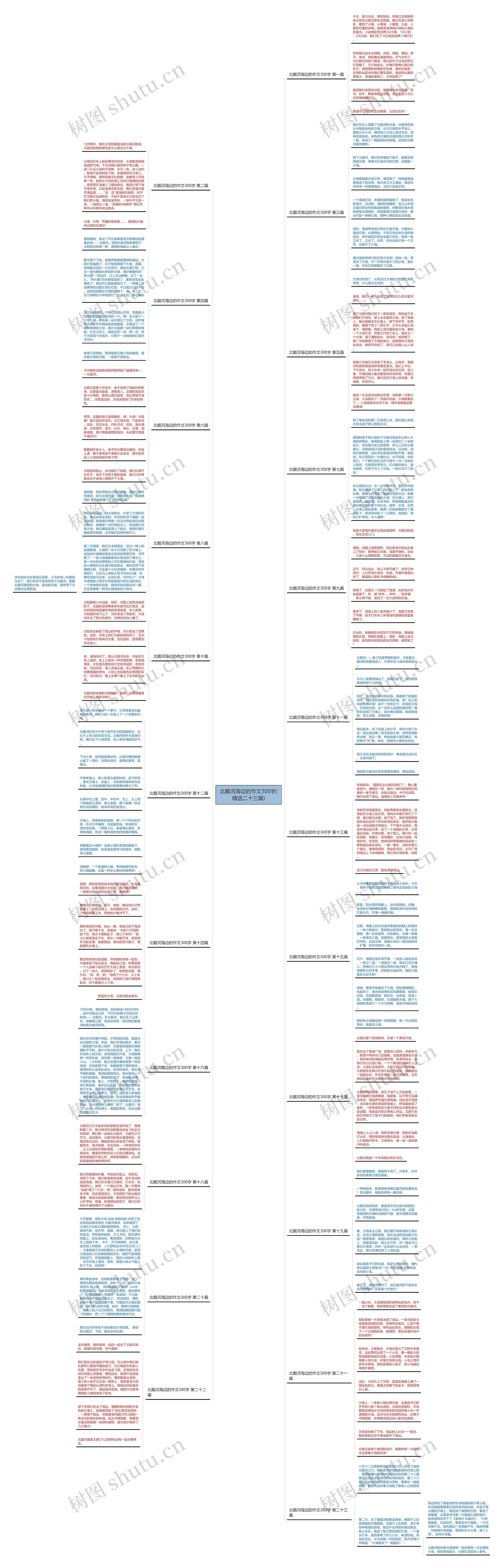 北戴河海边的作文300字(精选二十三篇)思维导图