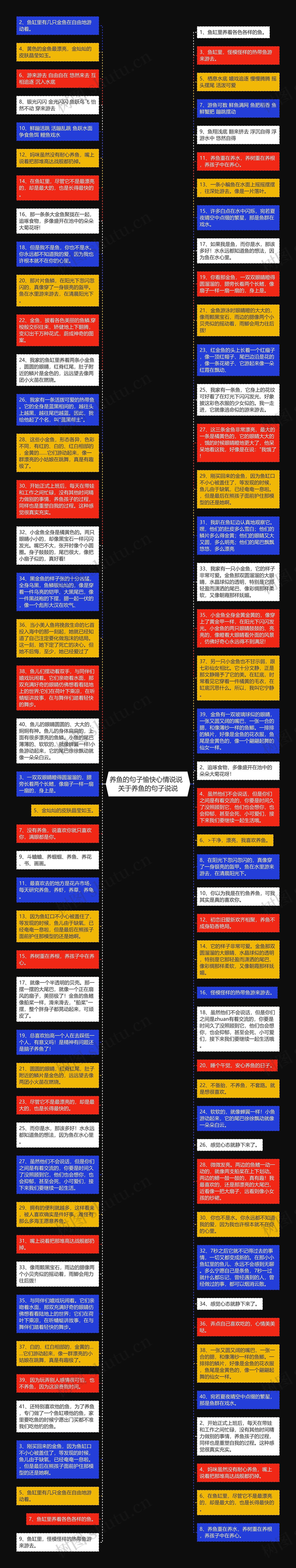 养鱼的句子愉快心情说说  关于养鱼的句子说说