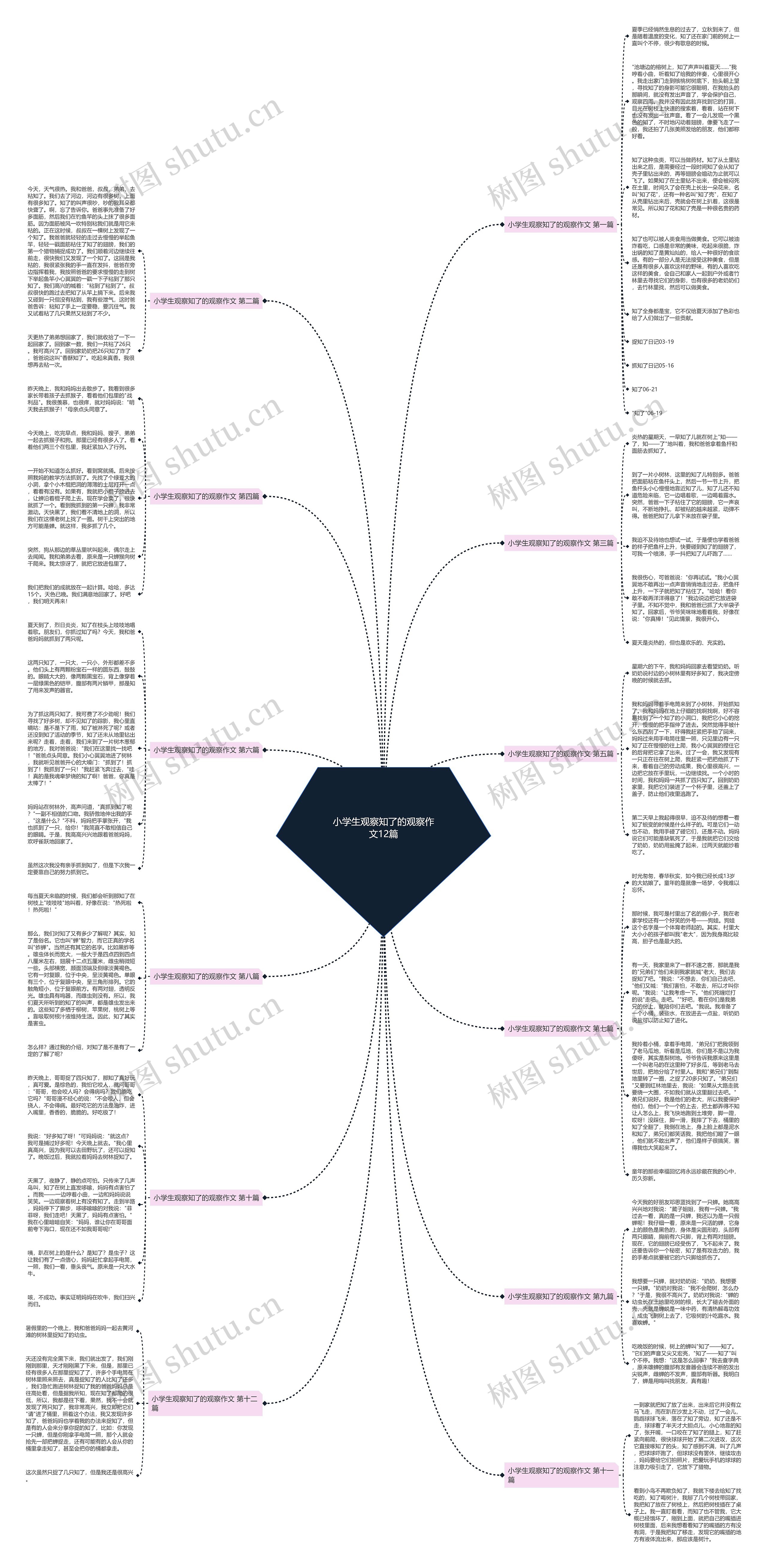 小学生观察知了的观察作文12篇思维导图