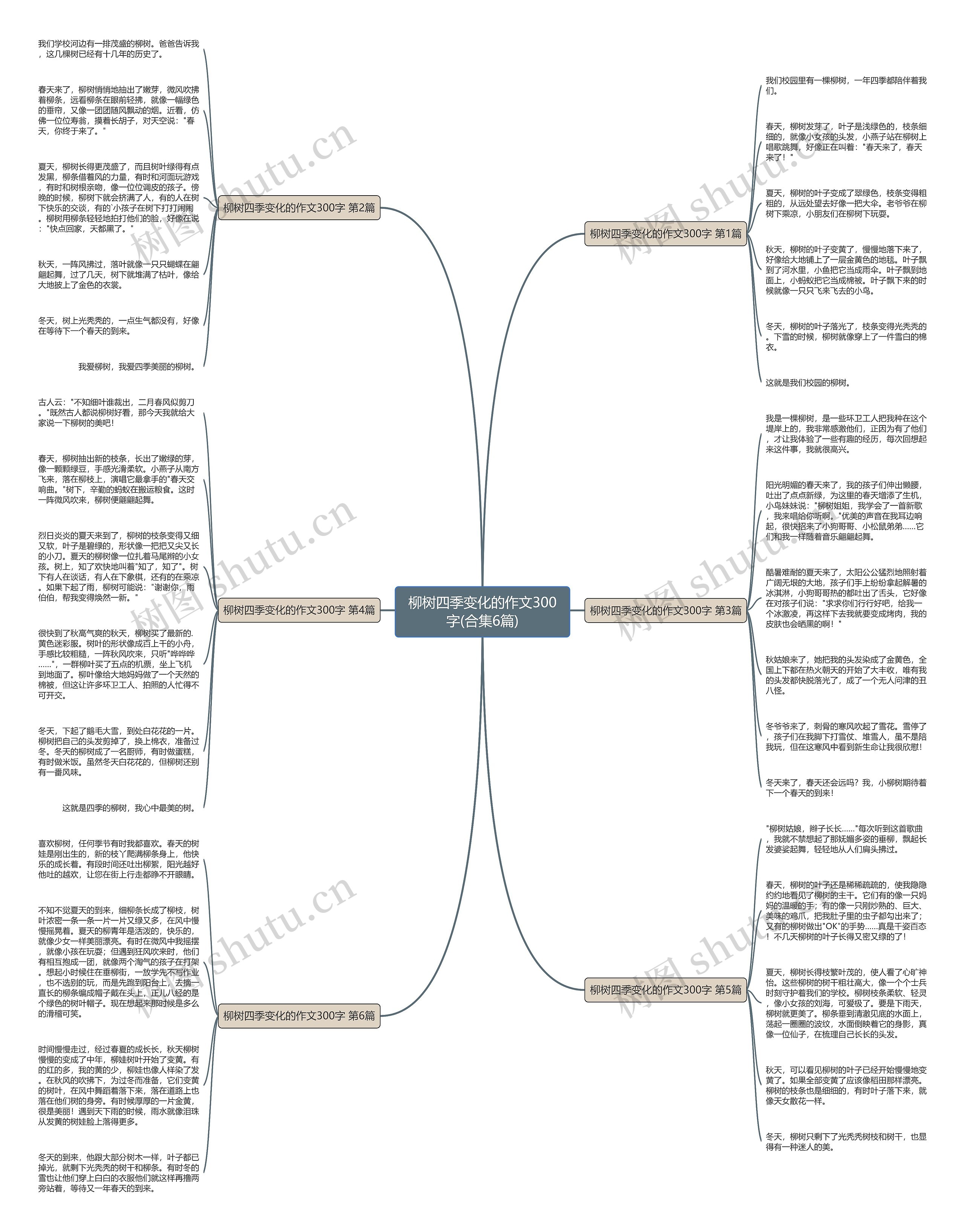 柳树四季变化的作文300字(合集6篇)思维导图