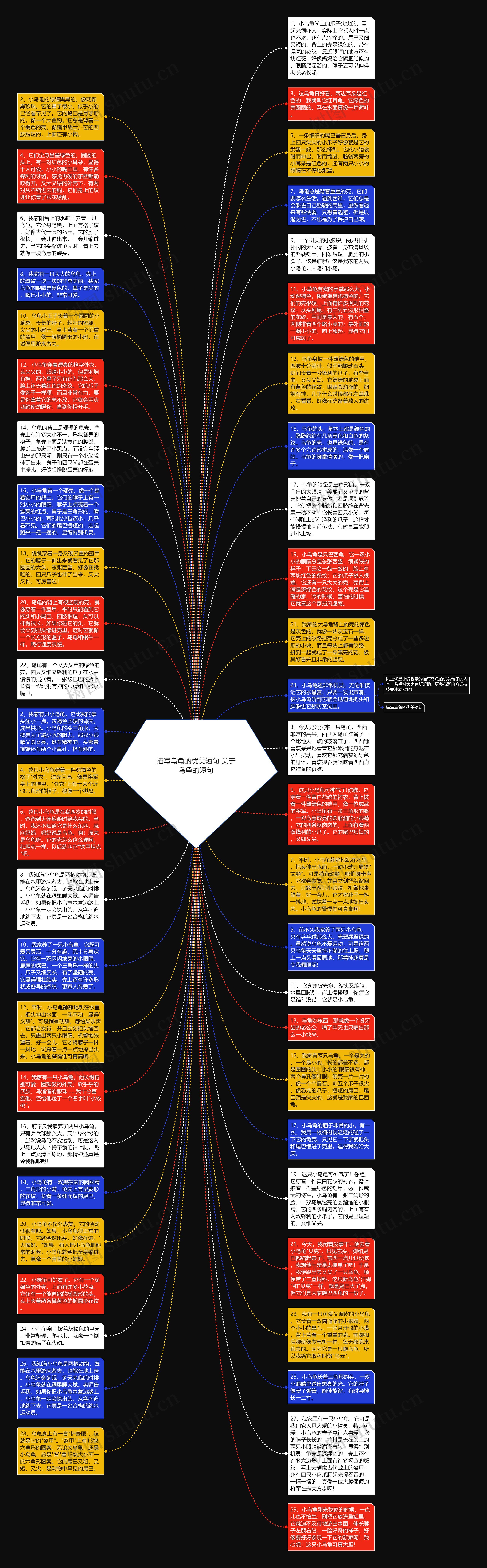 描写乌龟的优美短句 关于乌龟的短句思维导图