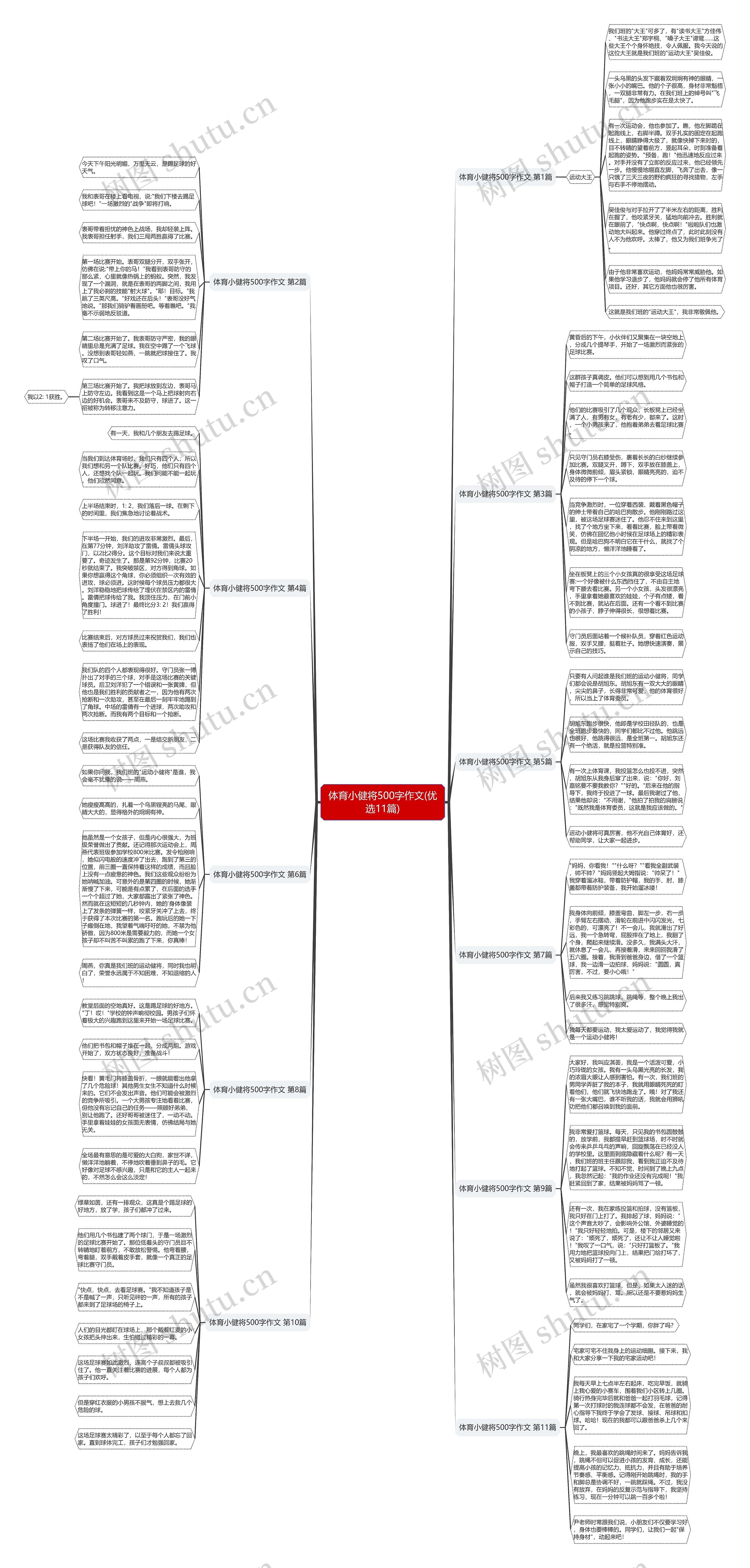 体育小健将500字作文(优选11篇)思维导图