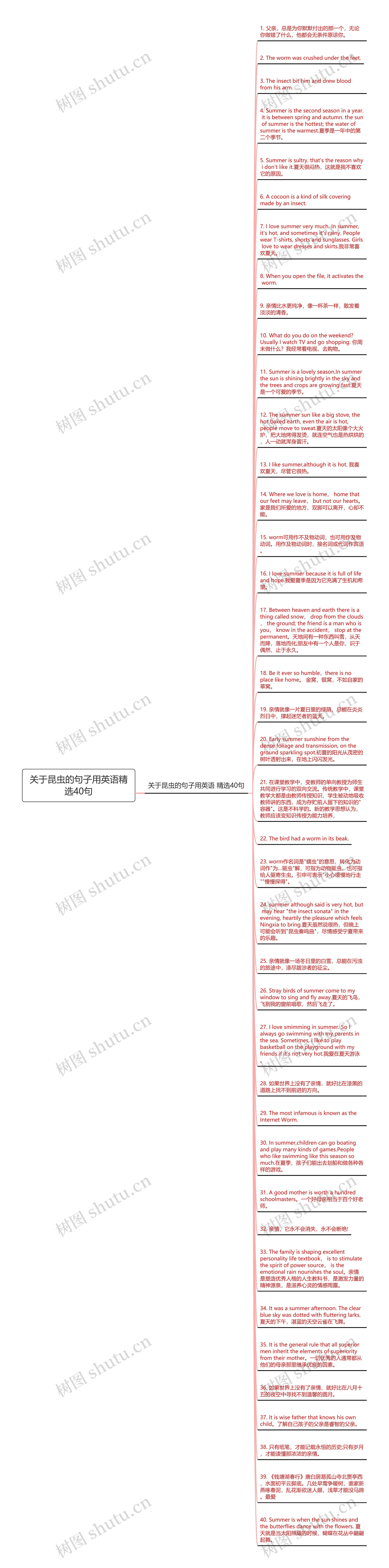 关于昆虫的句子用英语精选40句思维导图