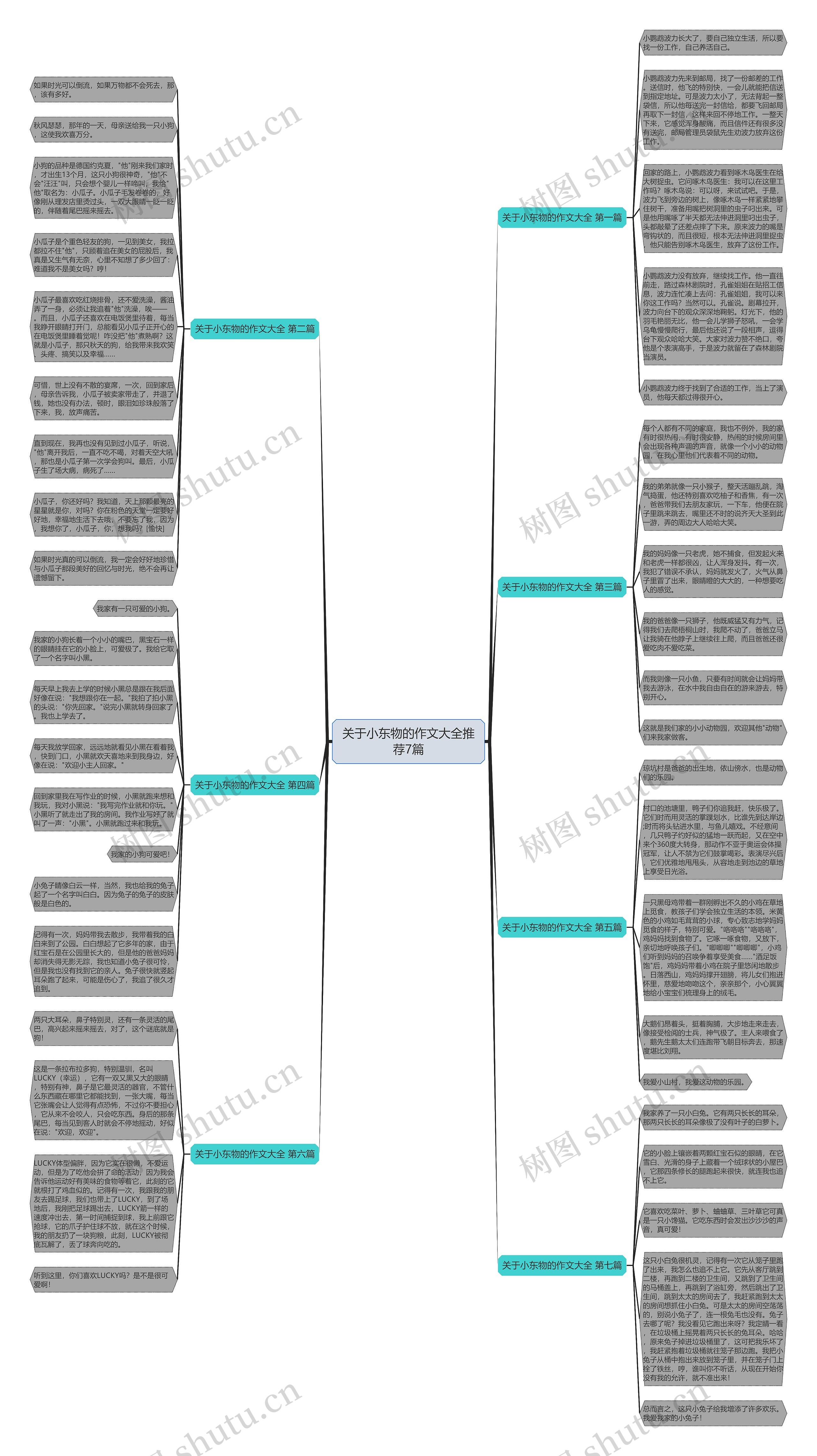 关于小东物的作文大全推荐7篇思维导图