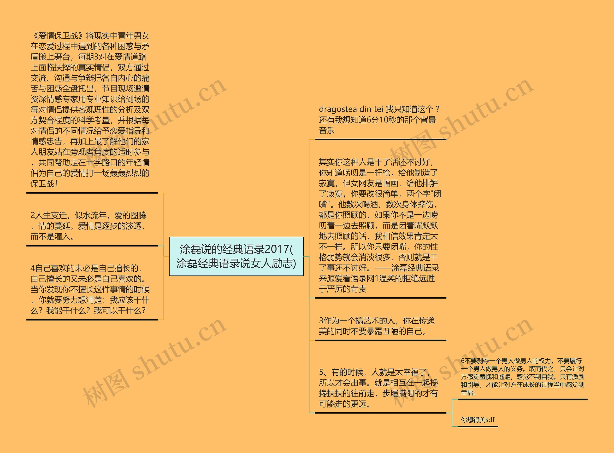 涂磊说的经典语录2017(涂磊经典语录说女人励志)思维导图