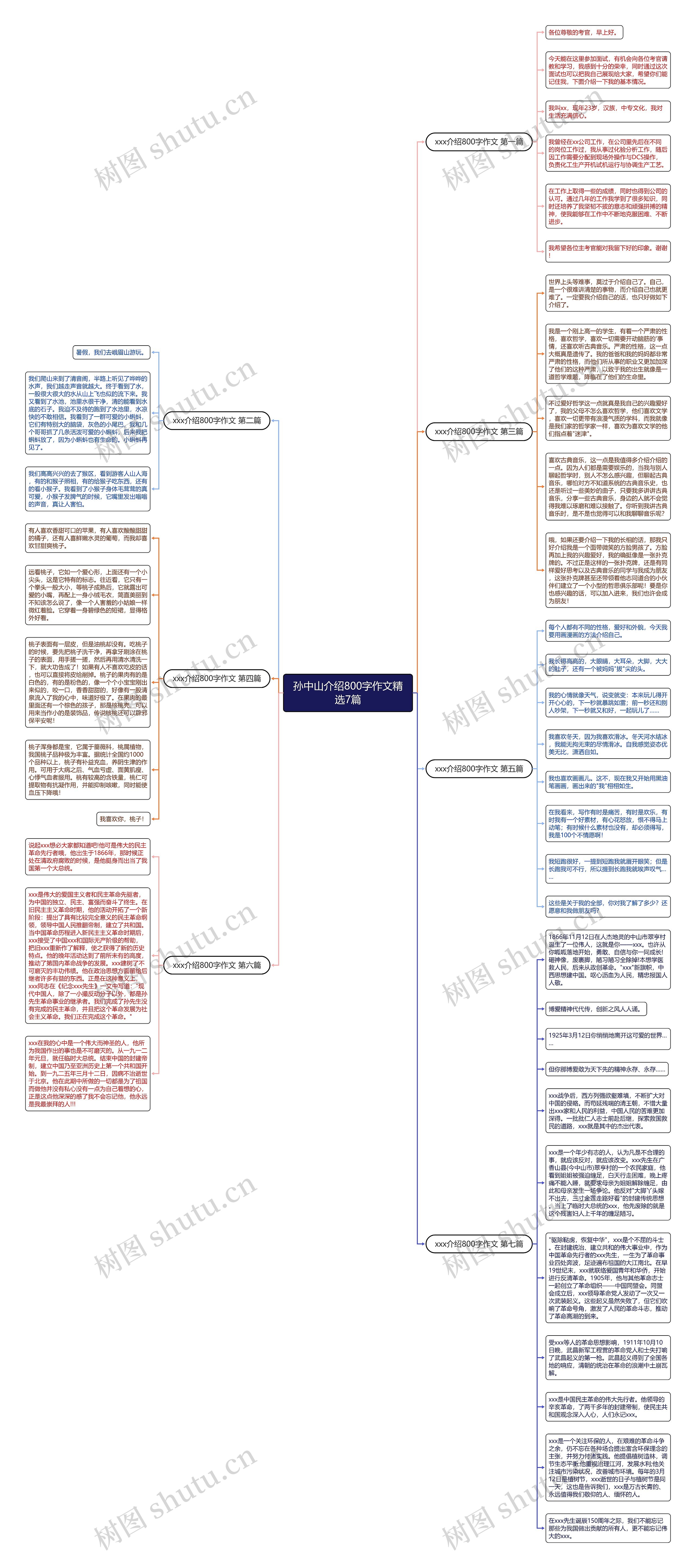 孙中山介绍800字作文精选7篇思维导图