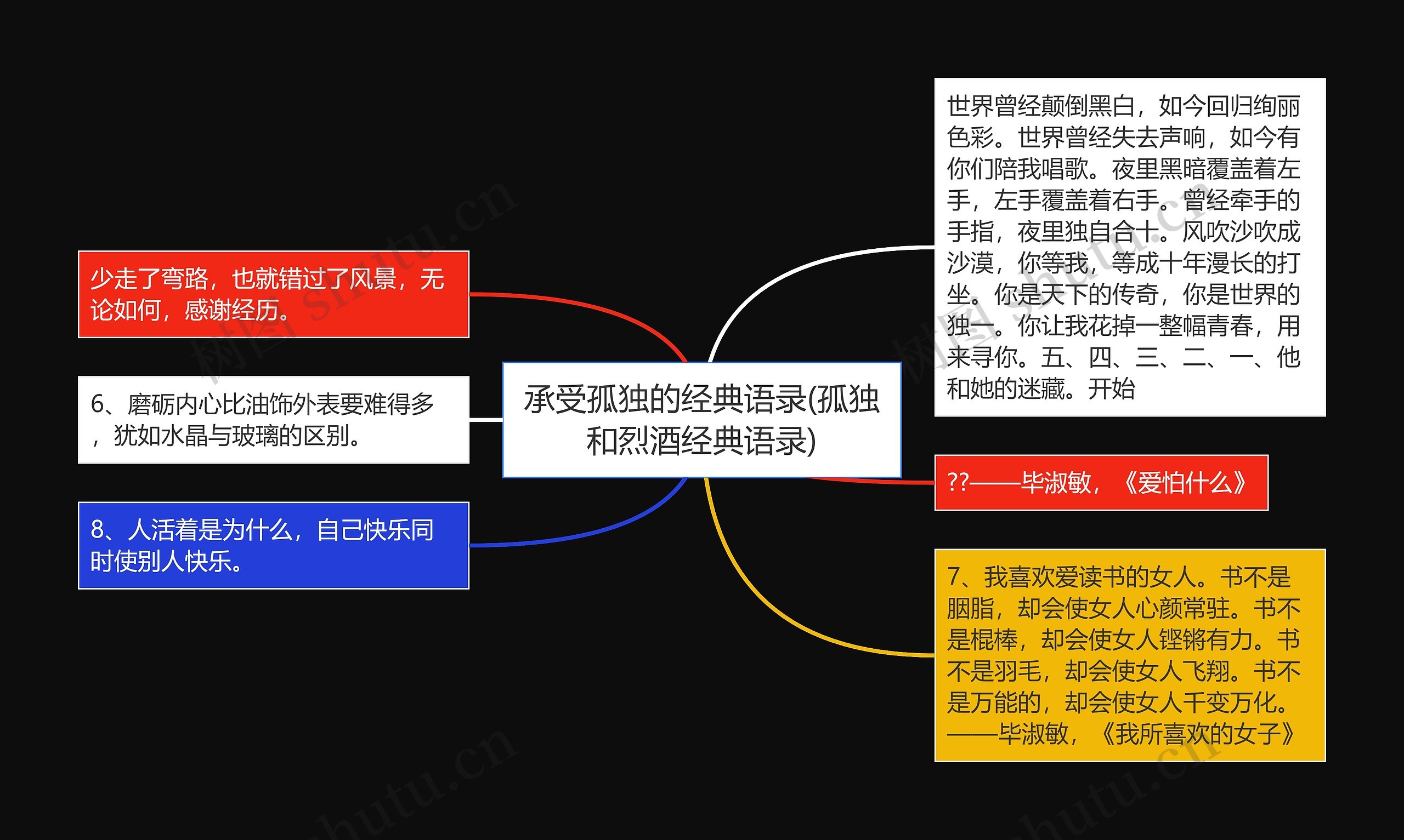 承受孤独的经典语录(孤独和烈酒经典语录)思维导图