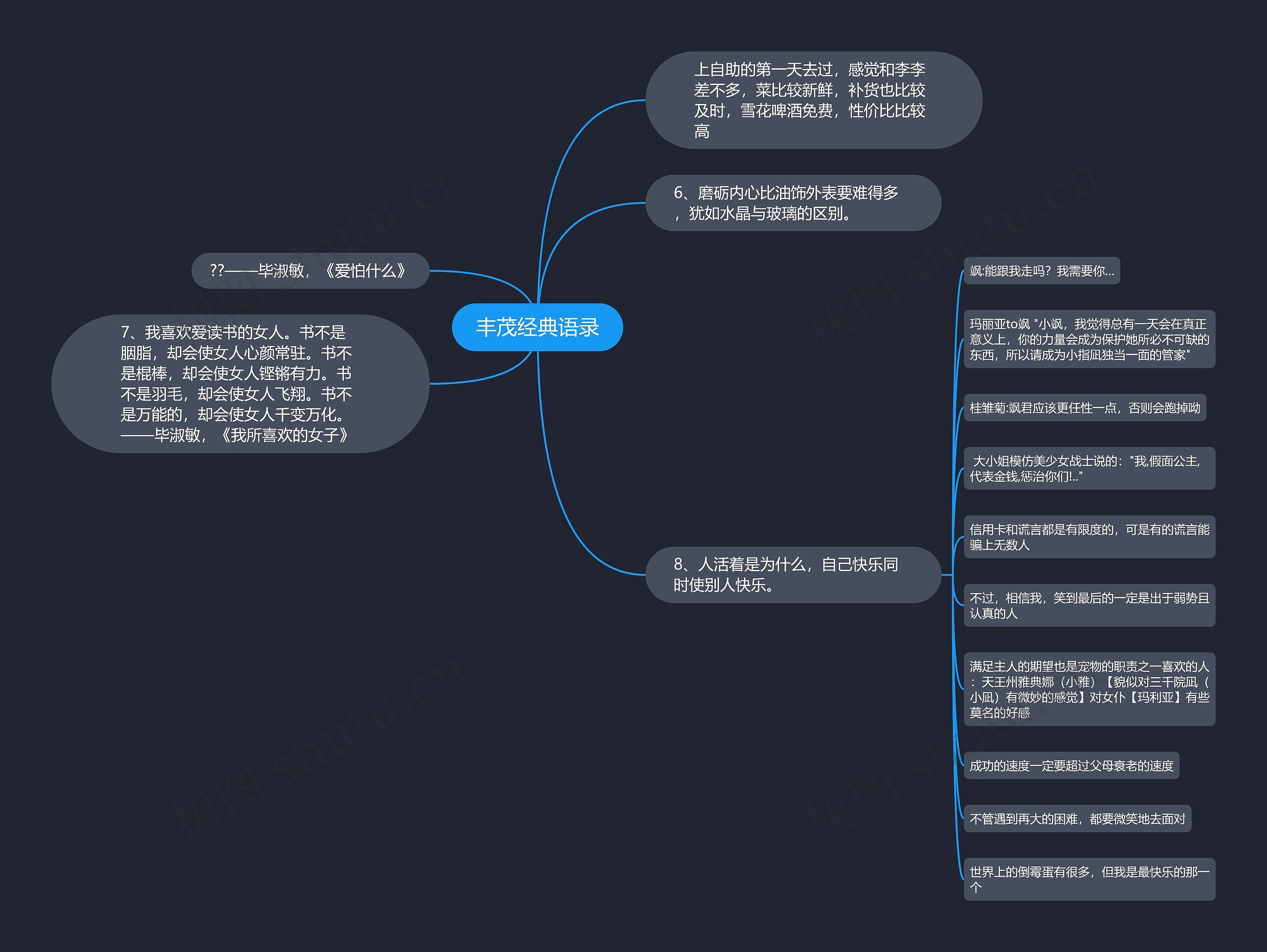 丰茂经典语录思维导图