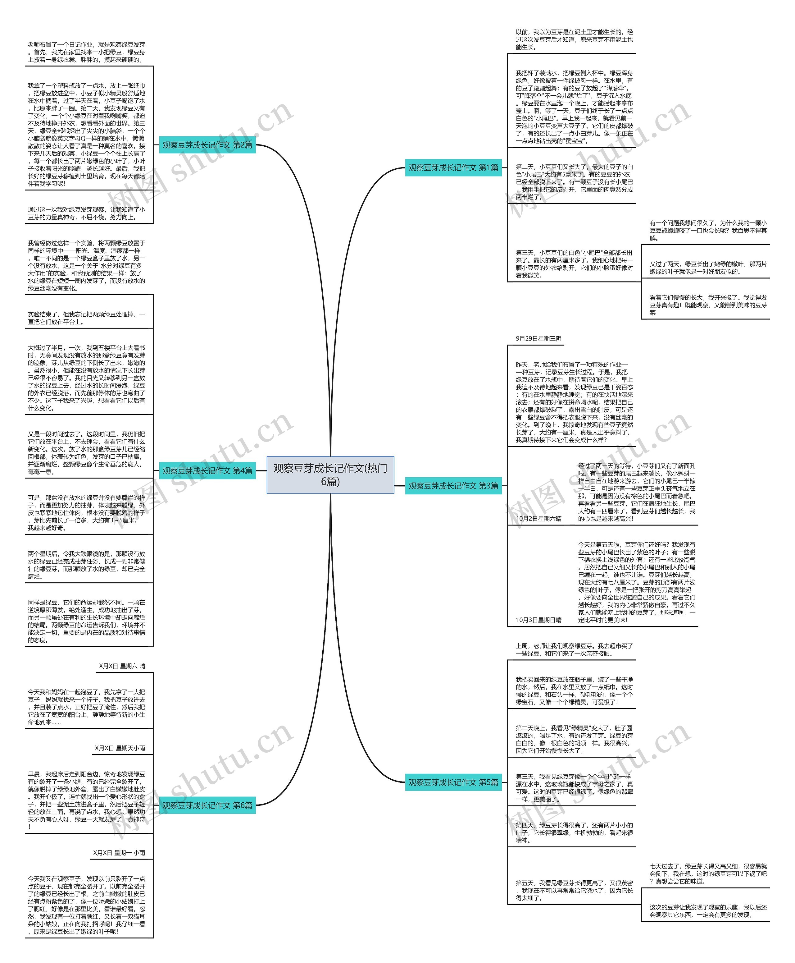 观察豆芽成长记作文(热门6篇)思维导图