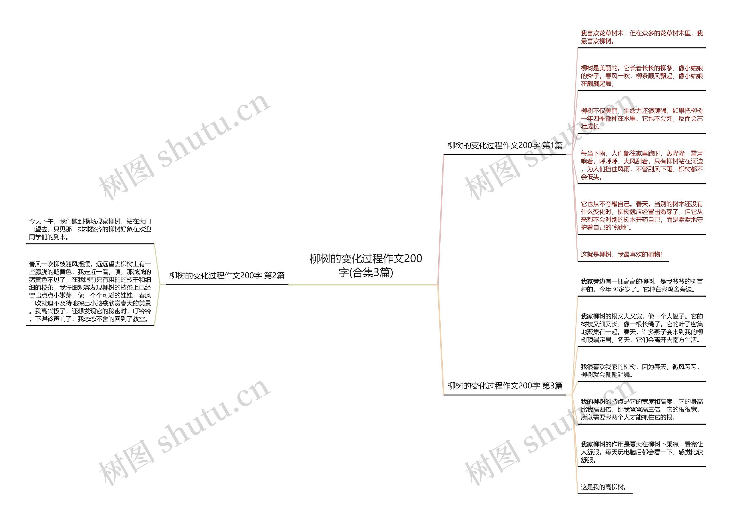 柳树的变化过程作文200字(合集3篇) 柳树的变化过程作文200字(合集3篇)
