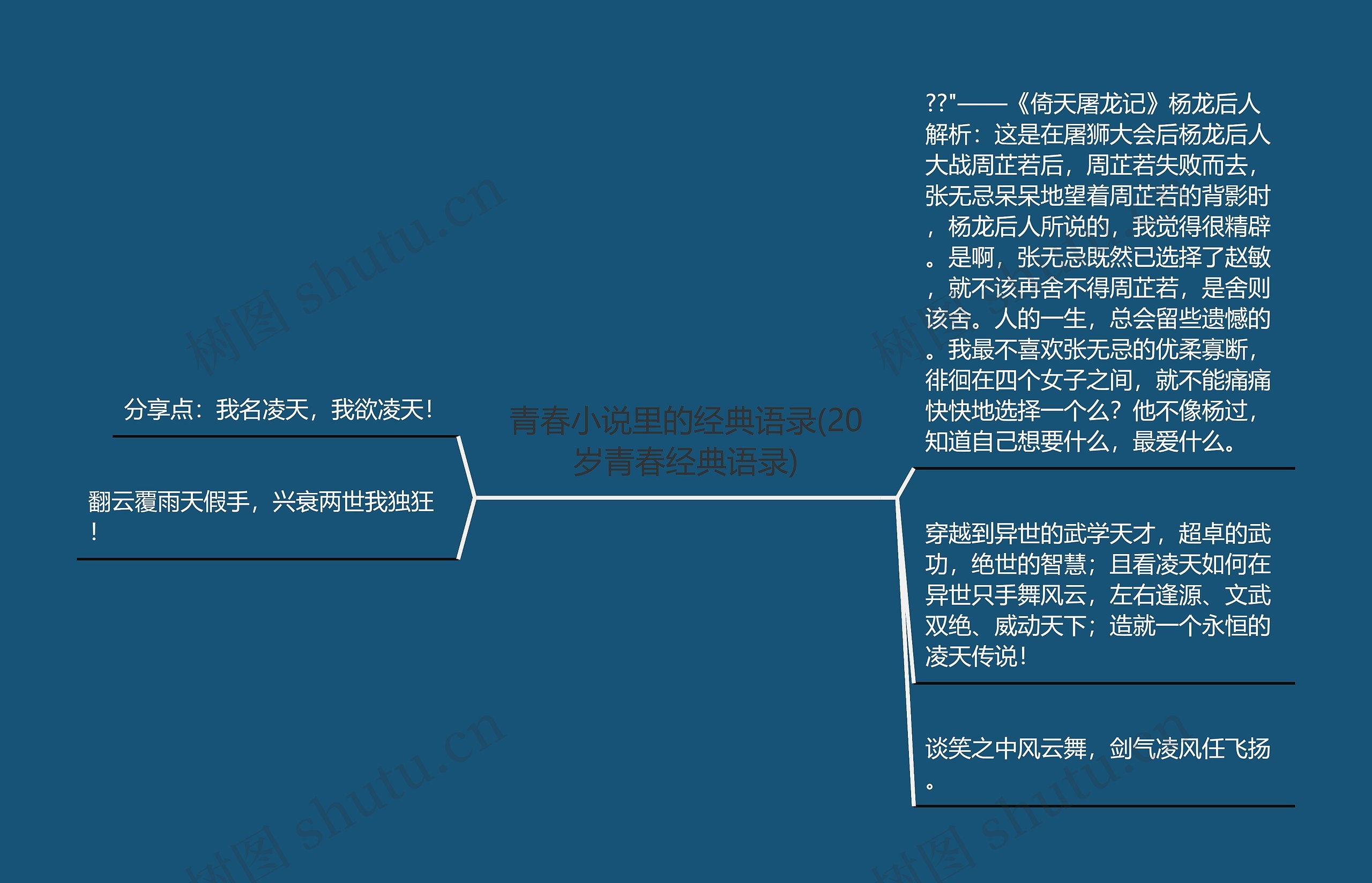 青春小说里的经典语录(20岁青春经典语录)思维导图