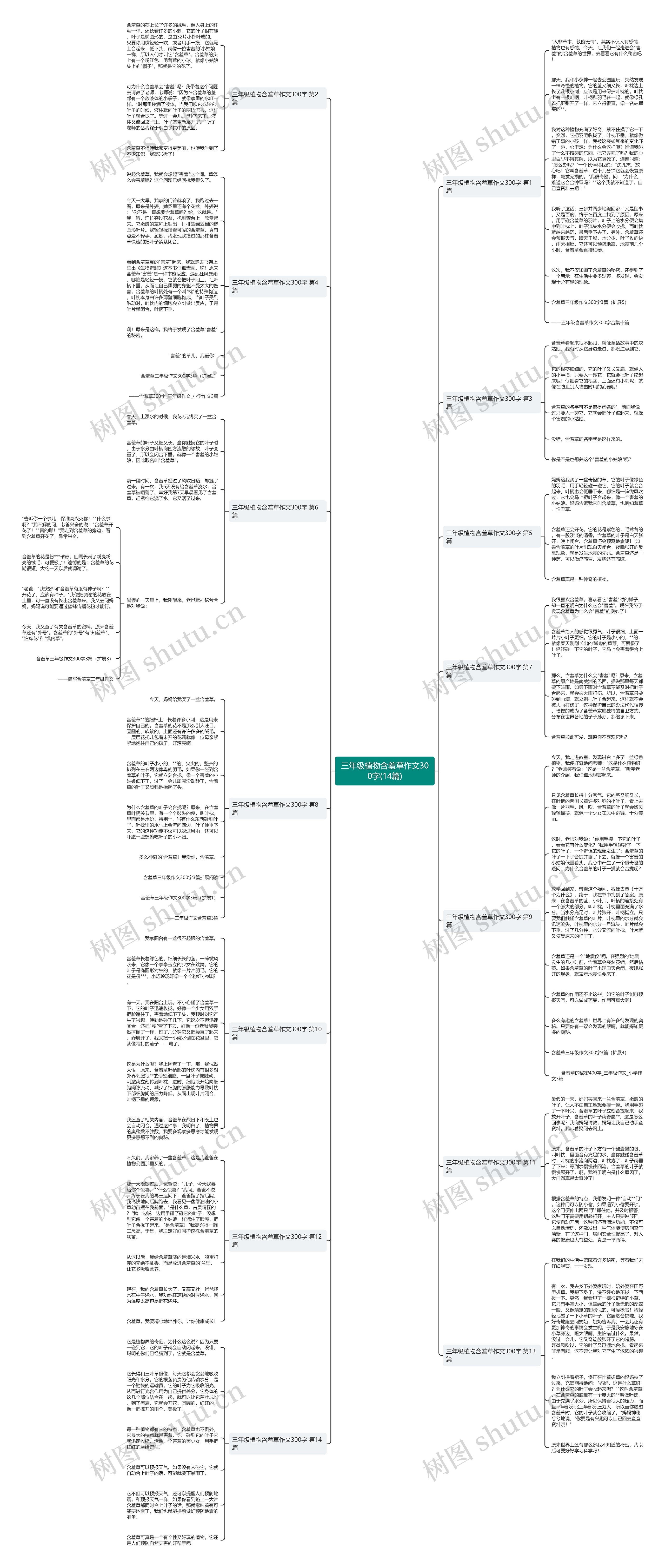 三年级植物含羞草作文300字(14篇)