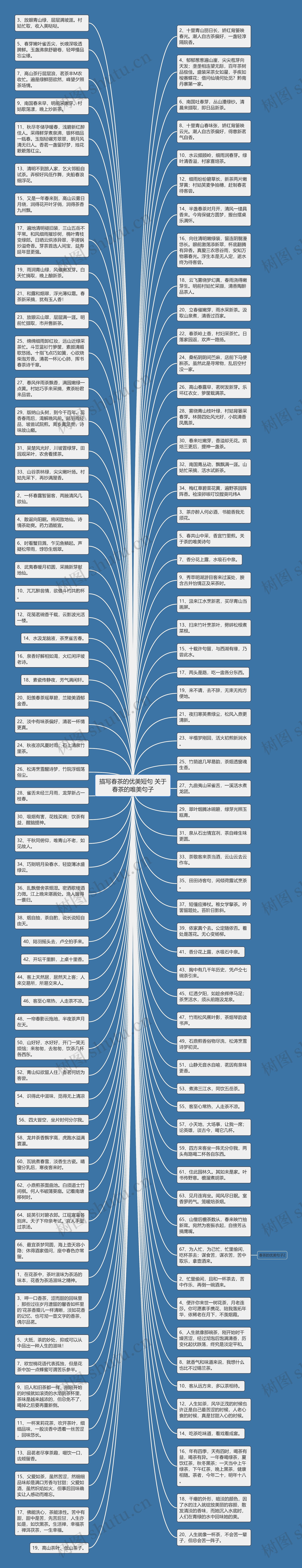 描写春茶的优美短句 关于春茶的唯美句子思维导图