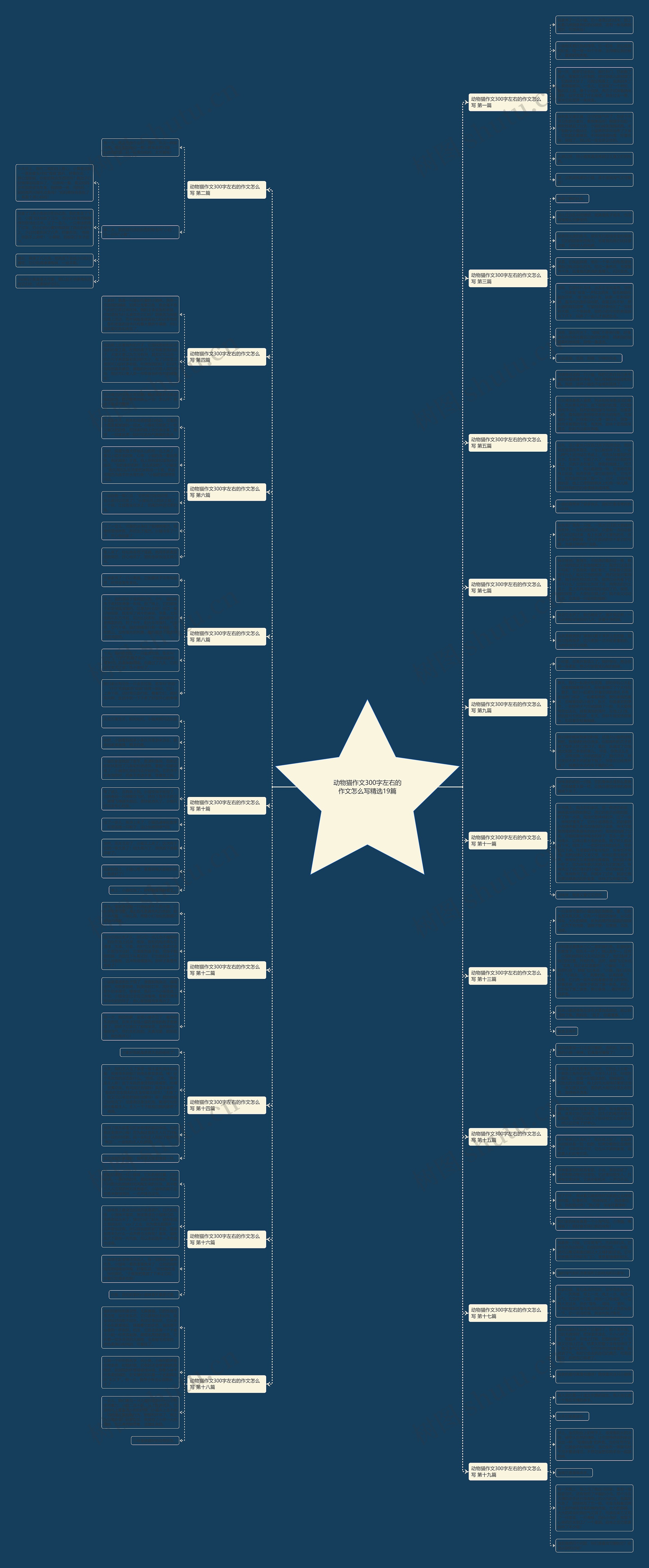 动物猫作文300字左右的作文怎么写精选19篇 动物猫作文300字左右的作文怎么写精选19篇