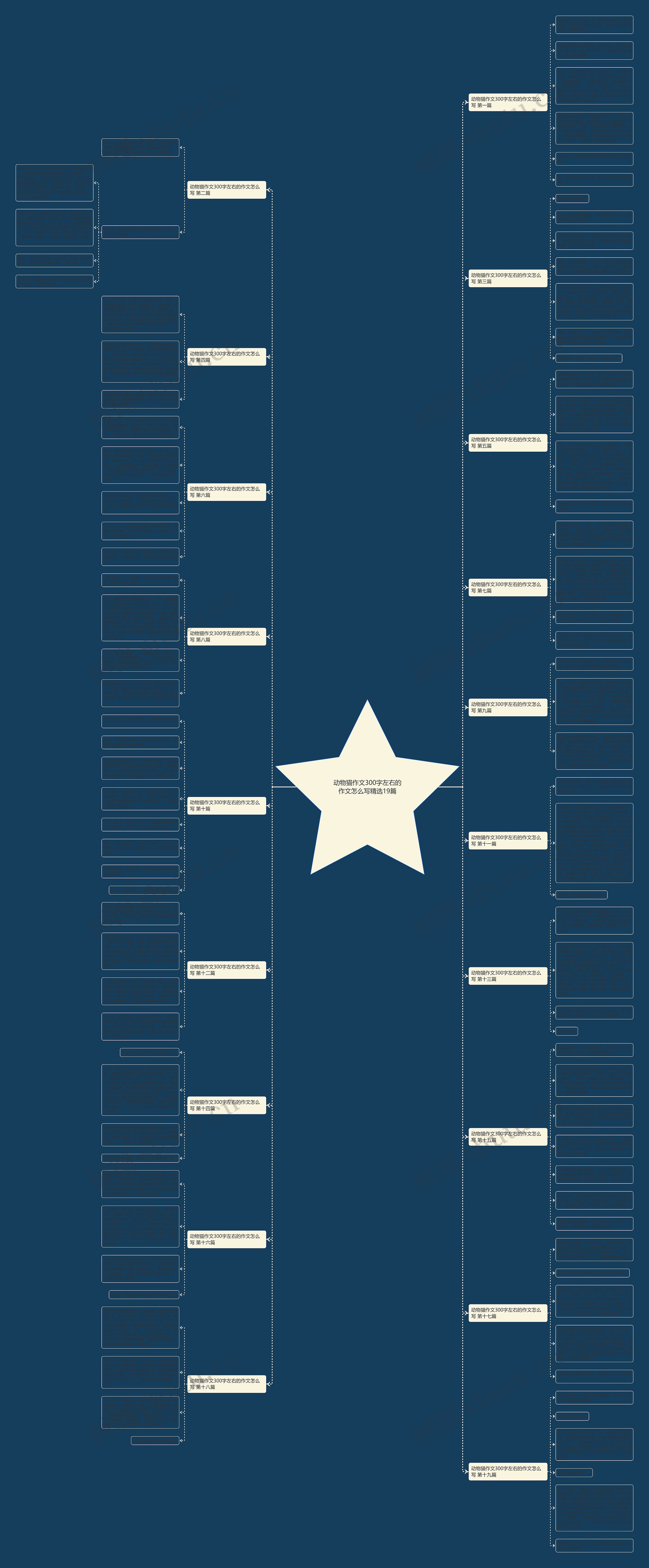 动物猫作文300字左右的作文怎么写精选19篇思维导图
