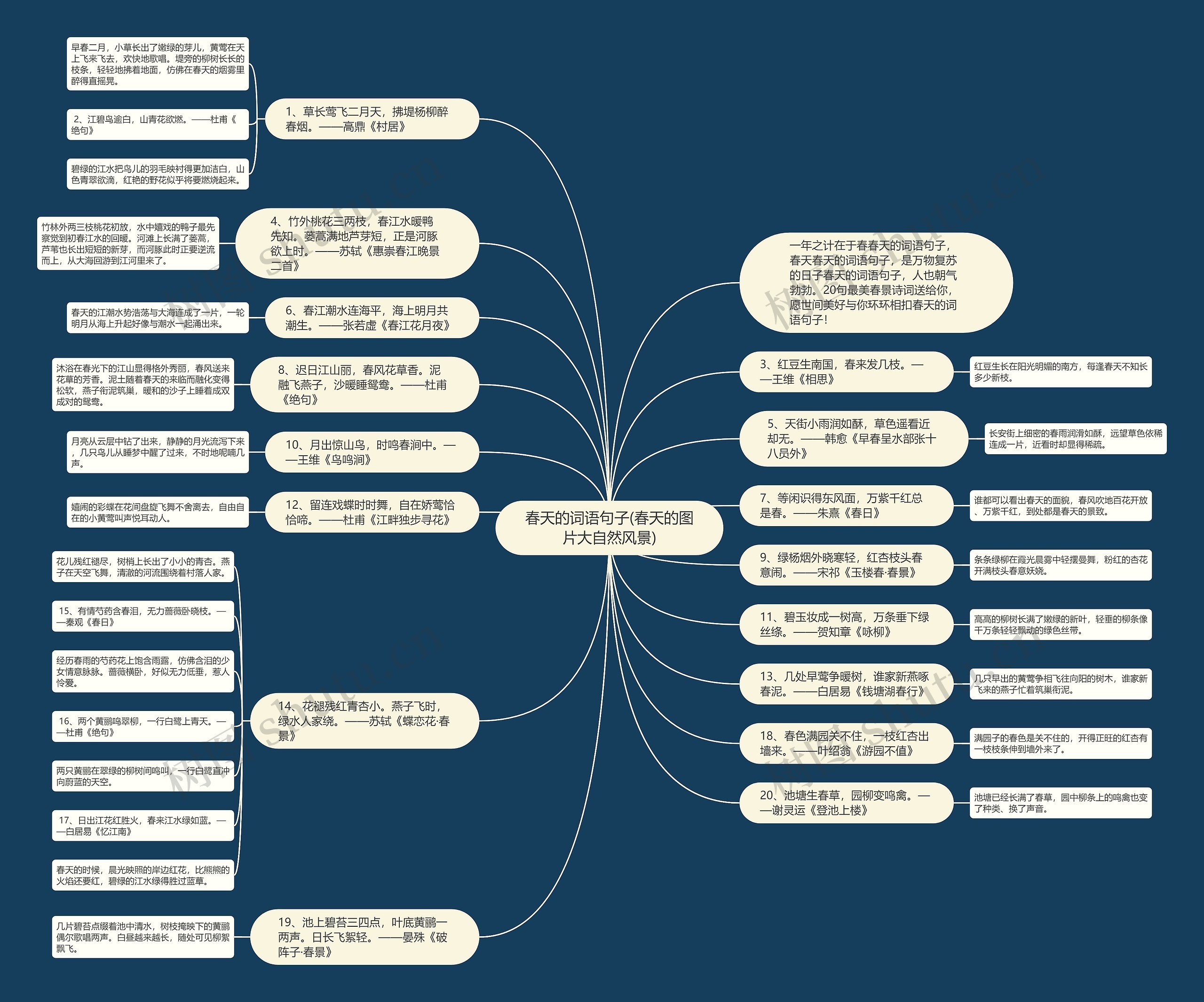 春天的词语句子(春天的图片大自然风景)思维导图
